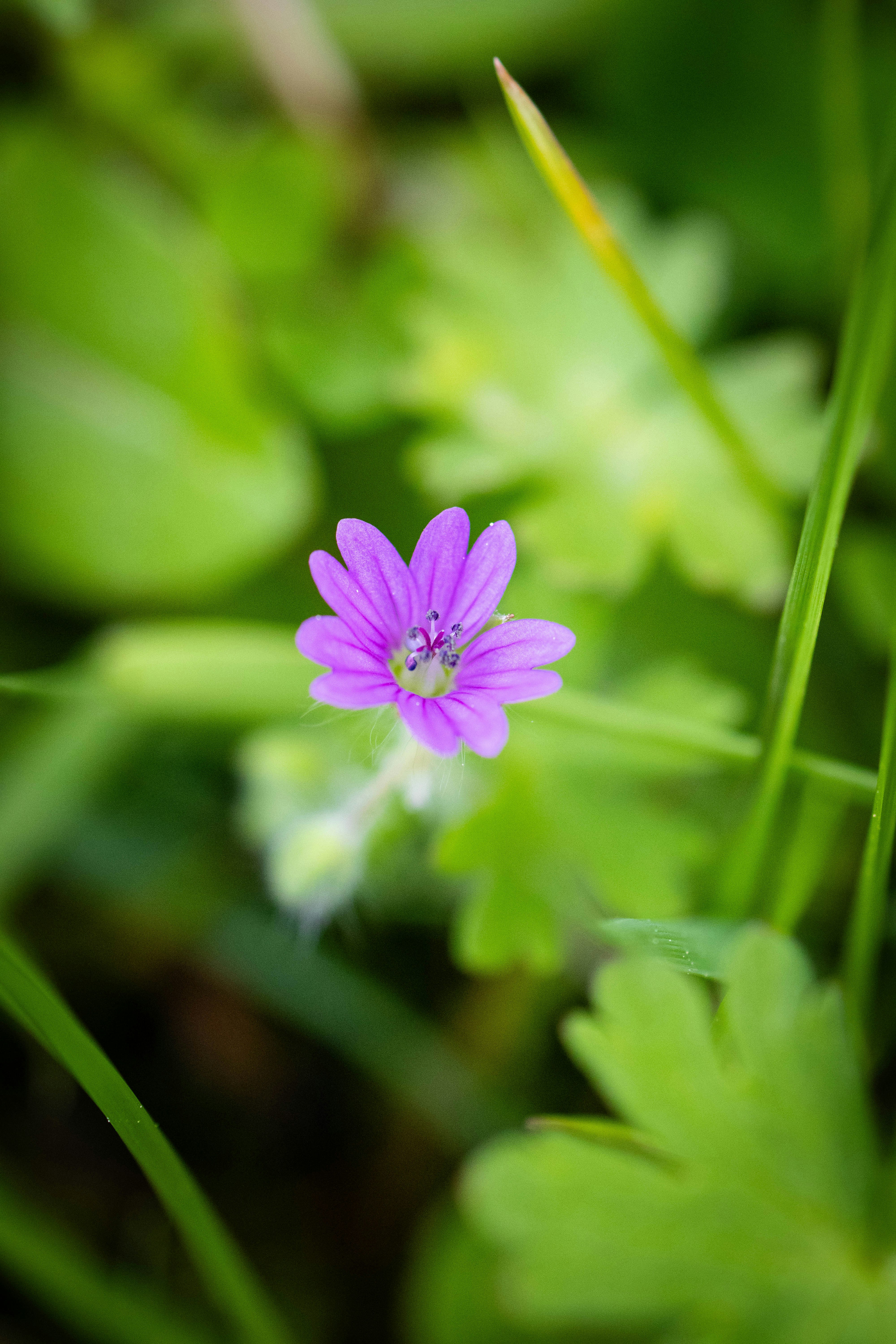 Photo by kennyvrphotography