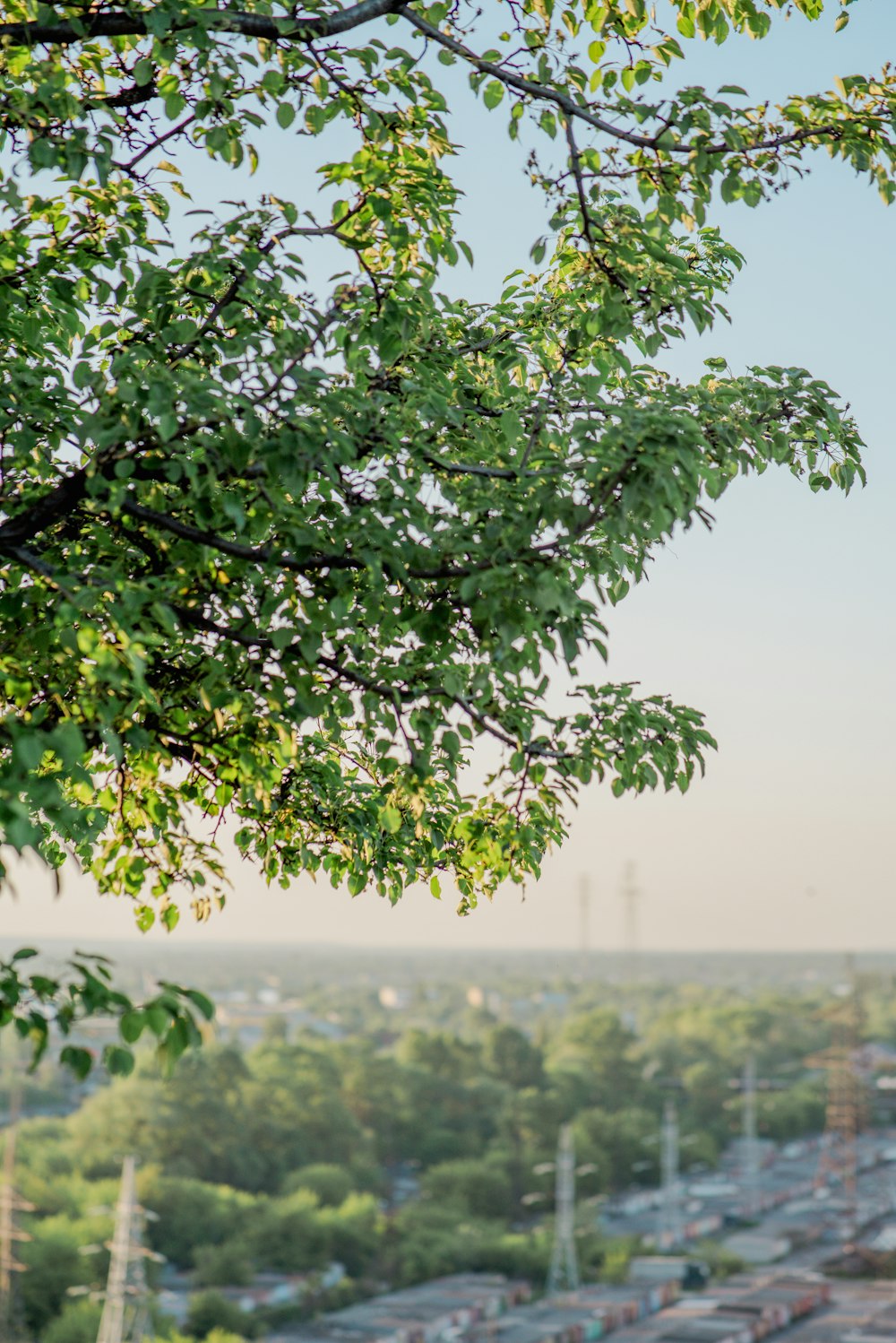 a view of a city from a hill