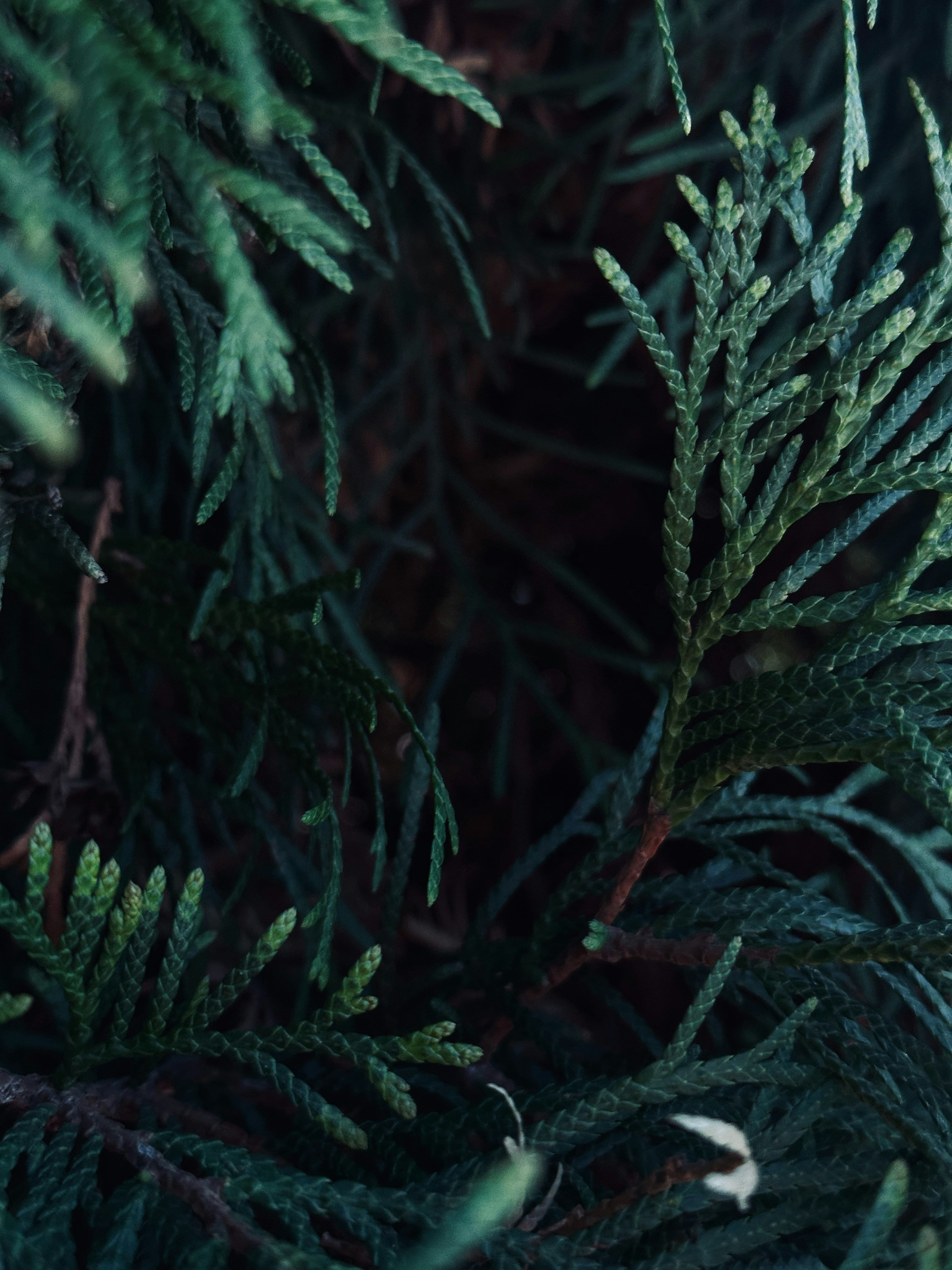 Photo by maximpotyomkin