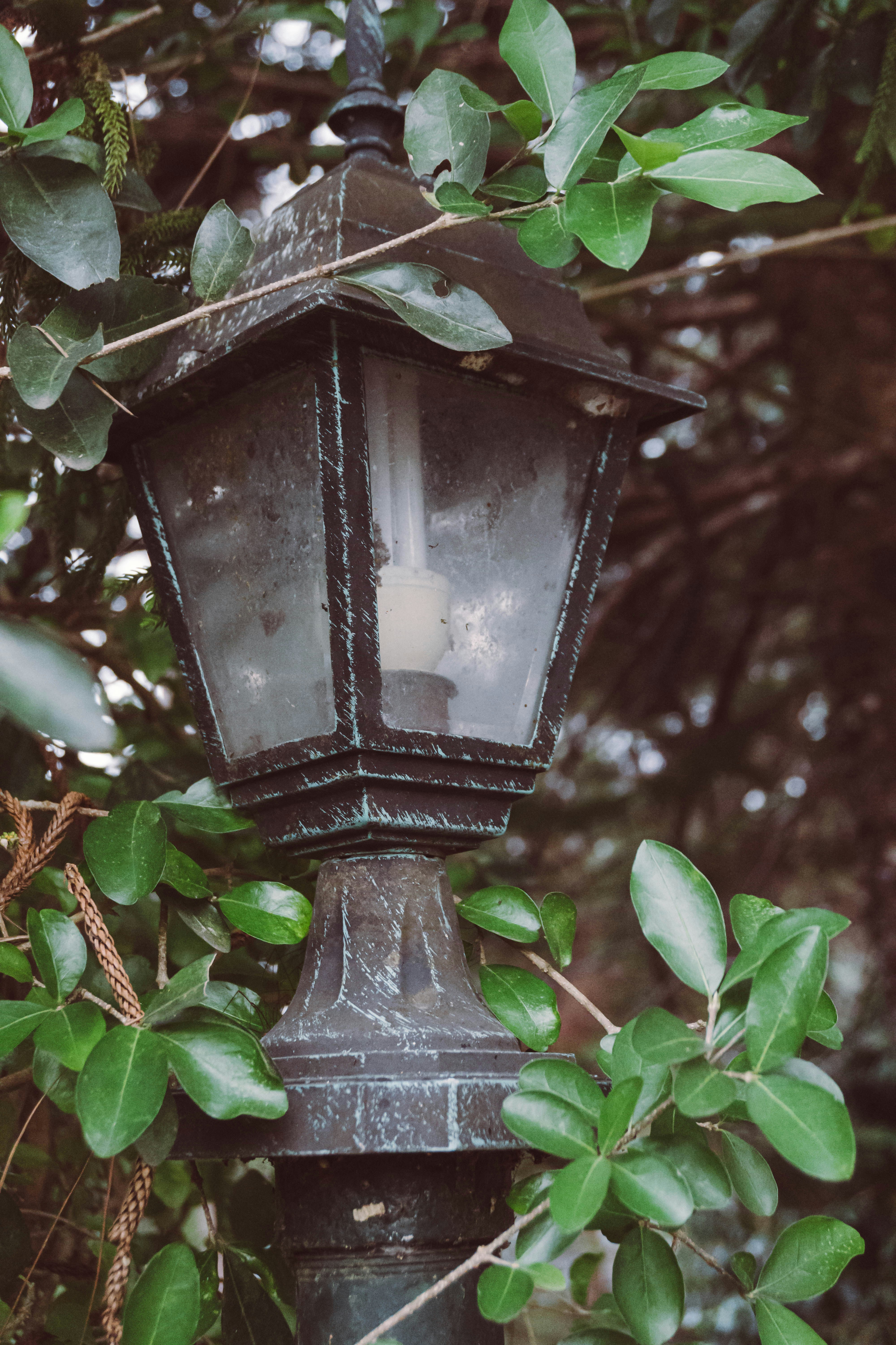 Photo by rlgraphicus