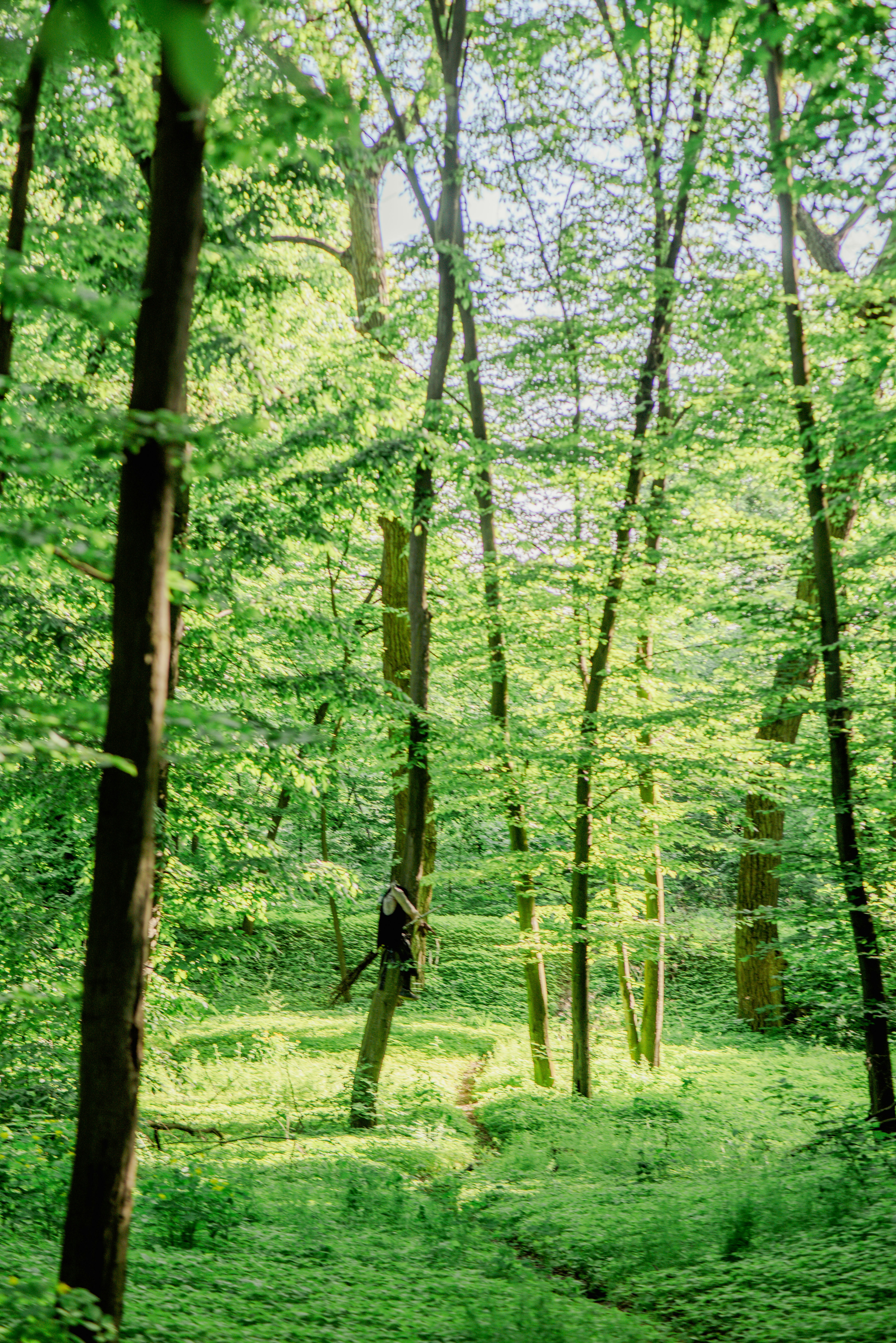 Photo by eugenivy_now