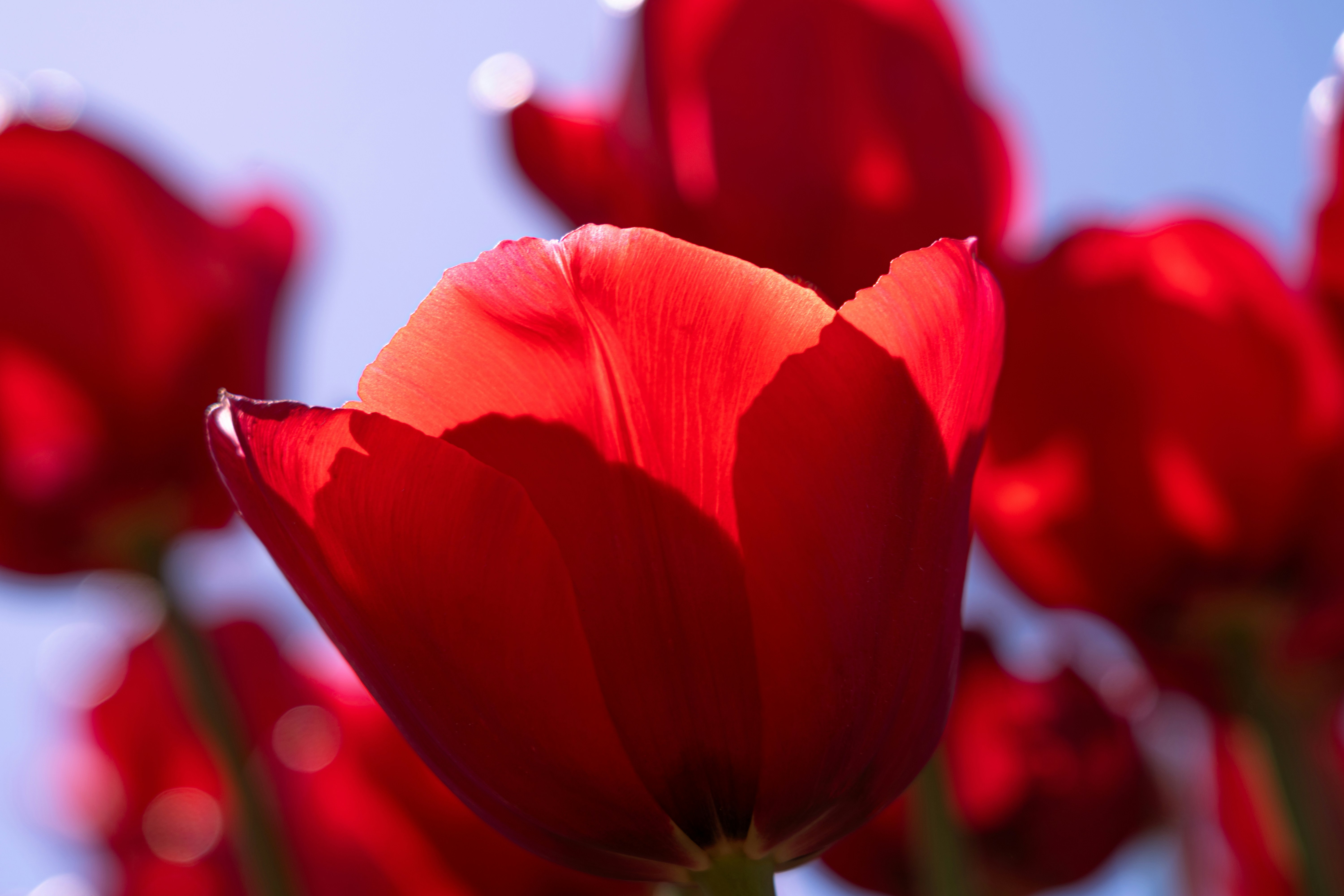 Photo by rachelstwrt