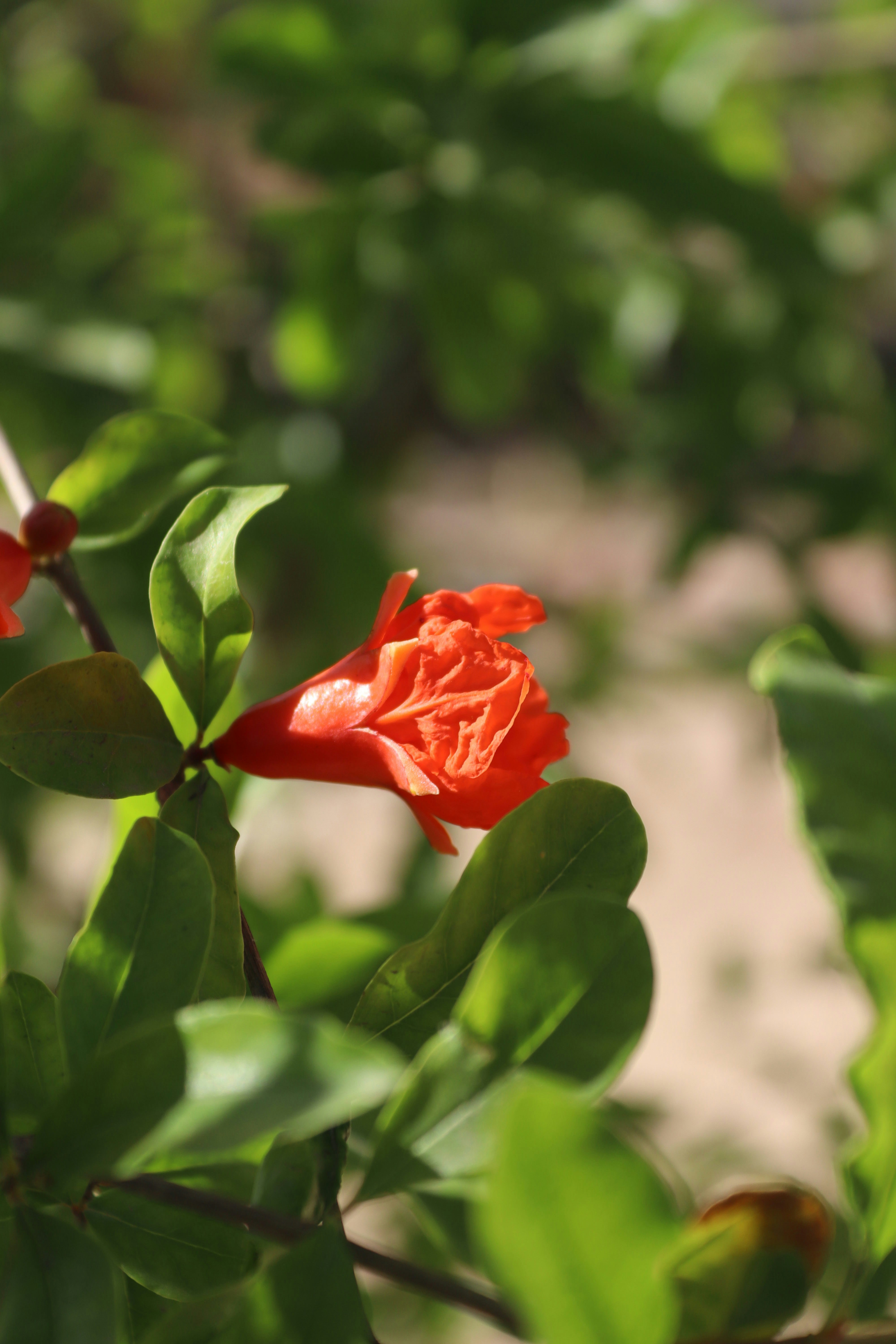 Photo by drphotographer152