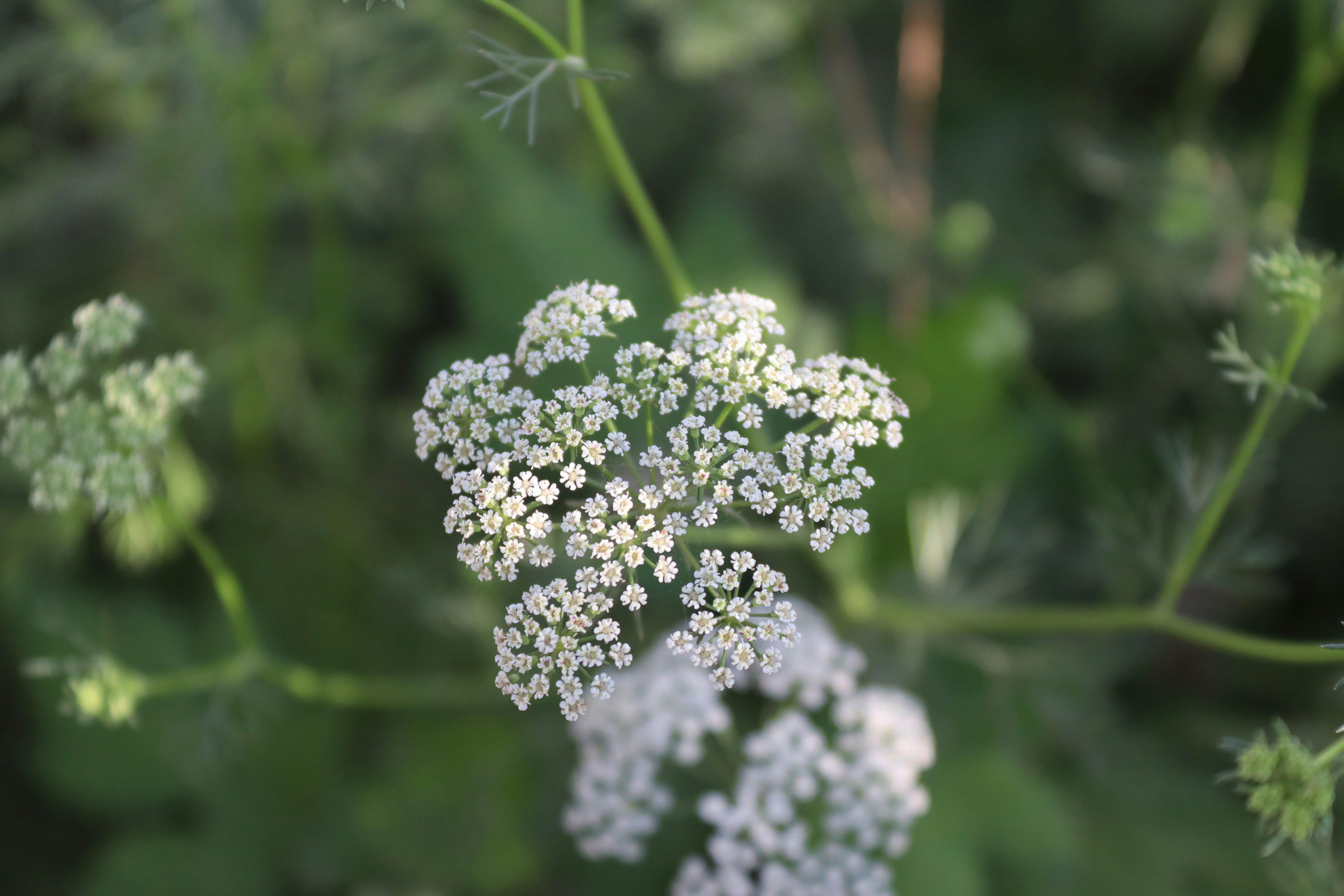 Photo by drphotographer152