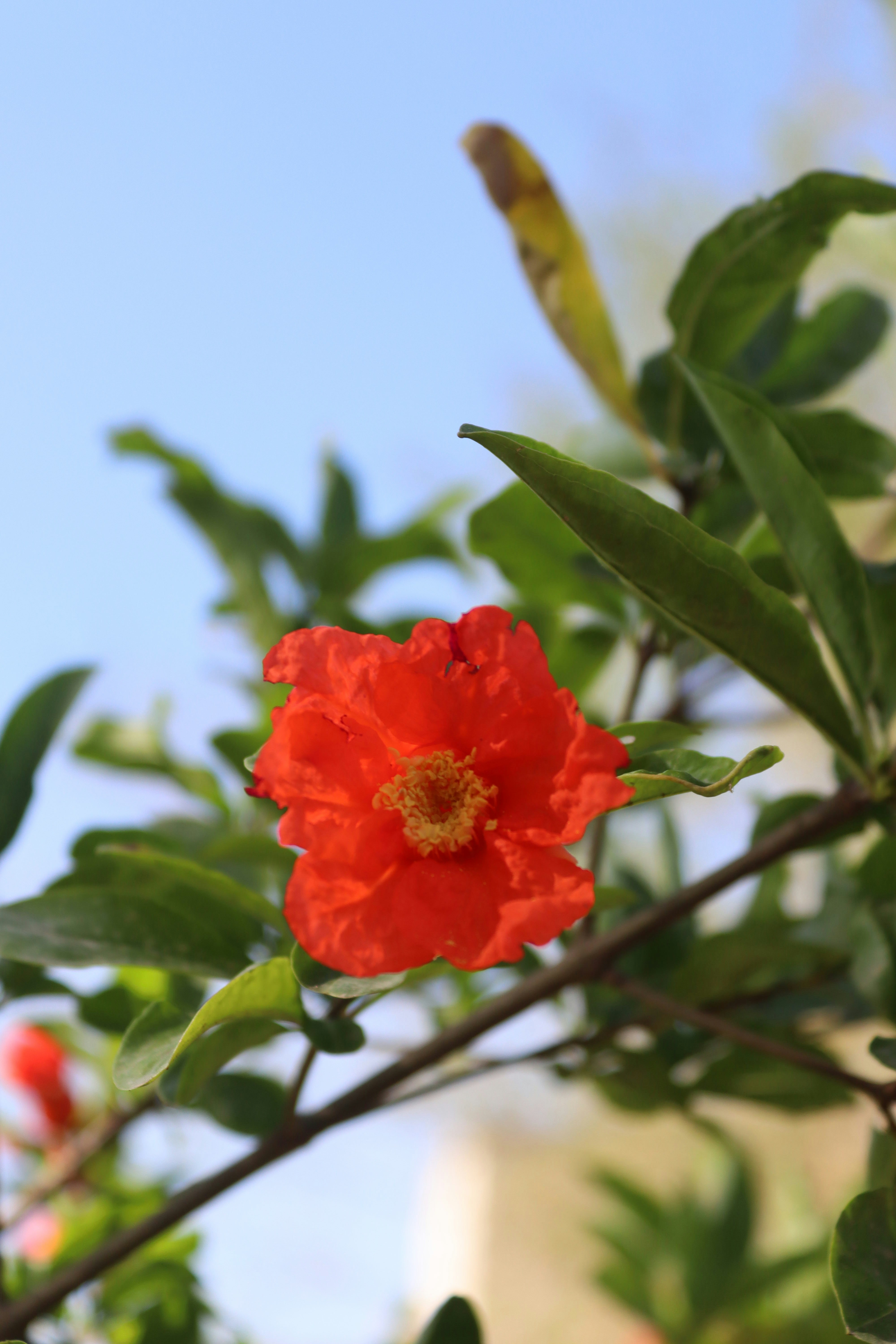 Photo by drphotographer152