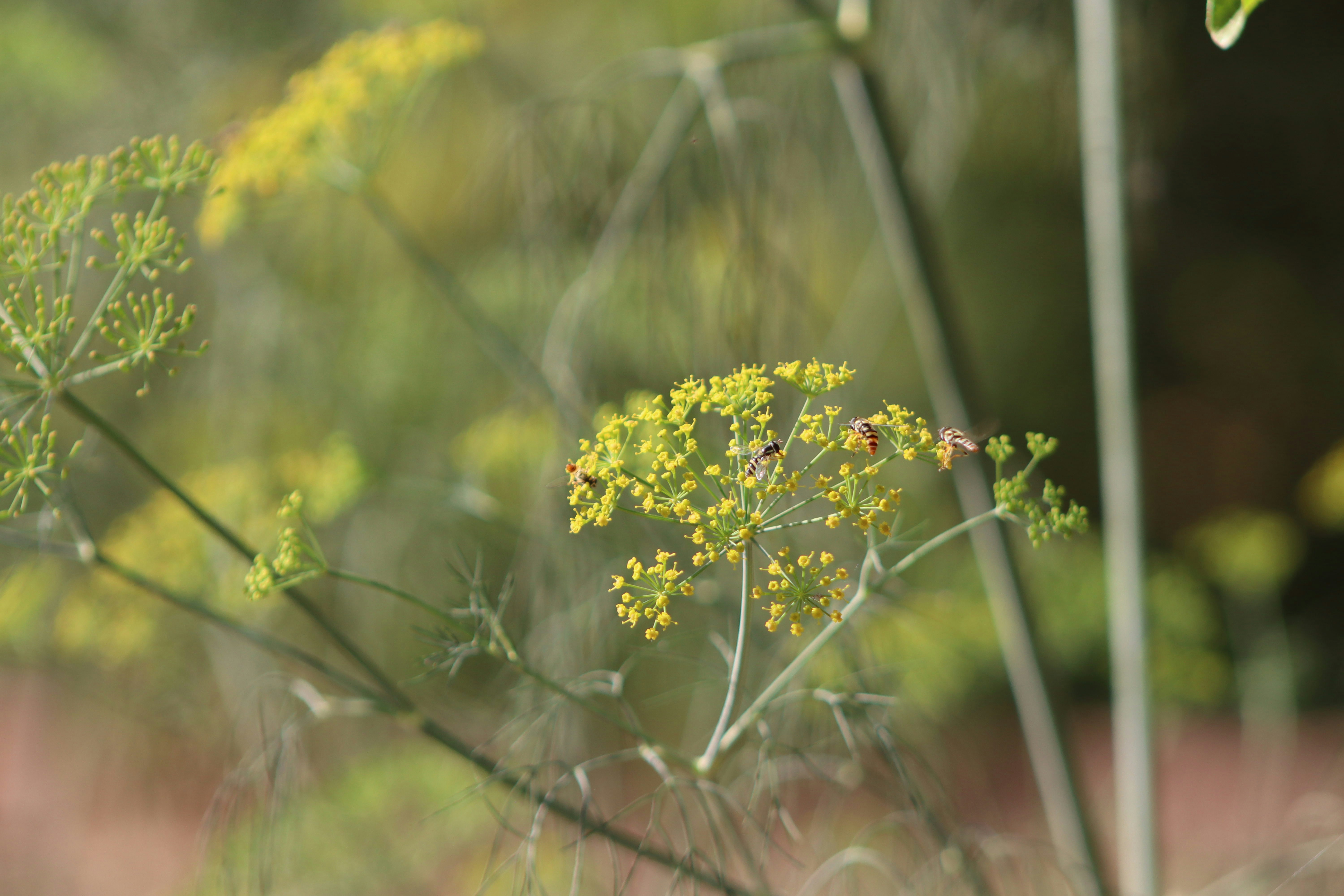 Photo by drphotographer152