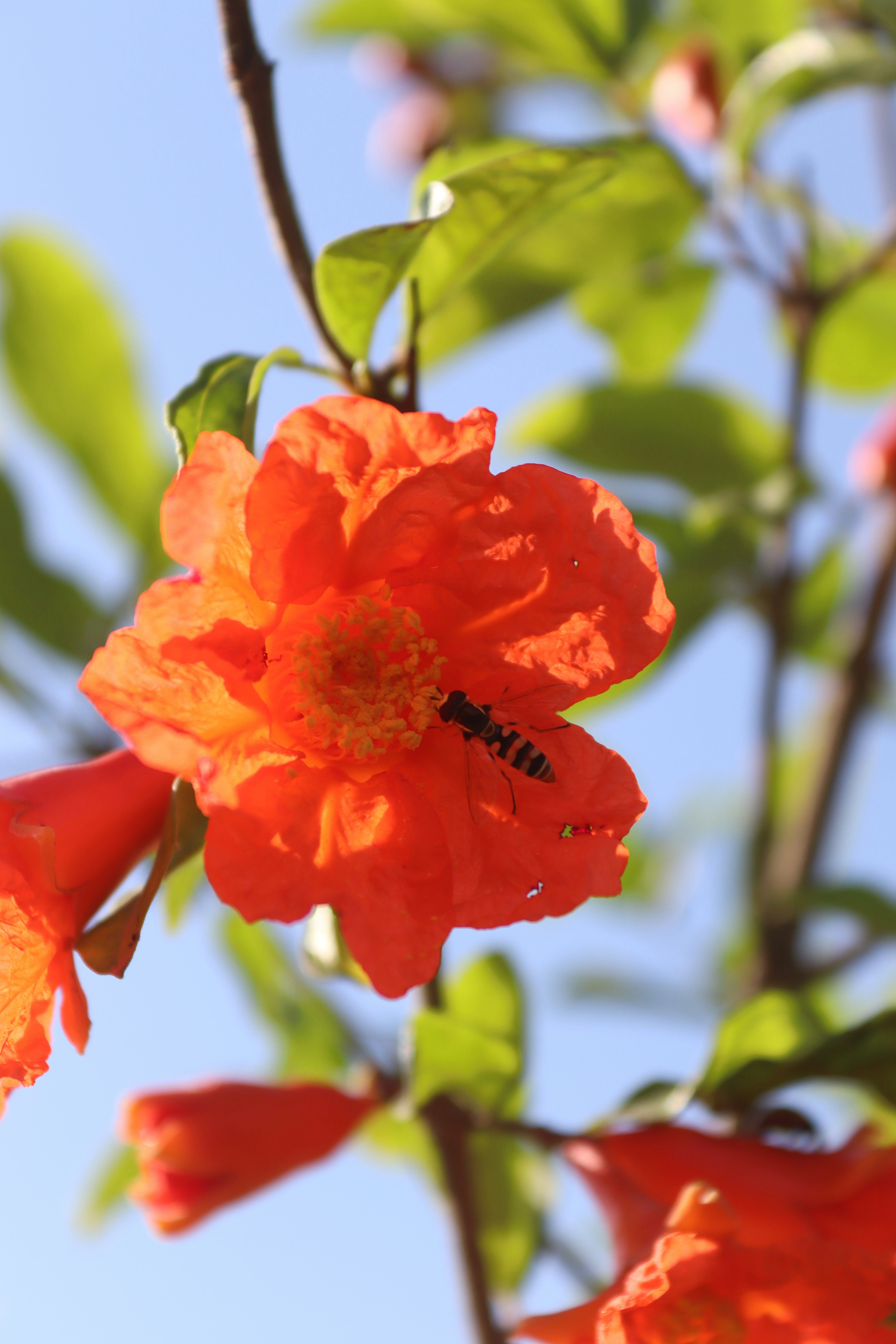 Photo by drphotographer152