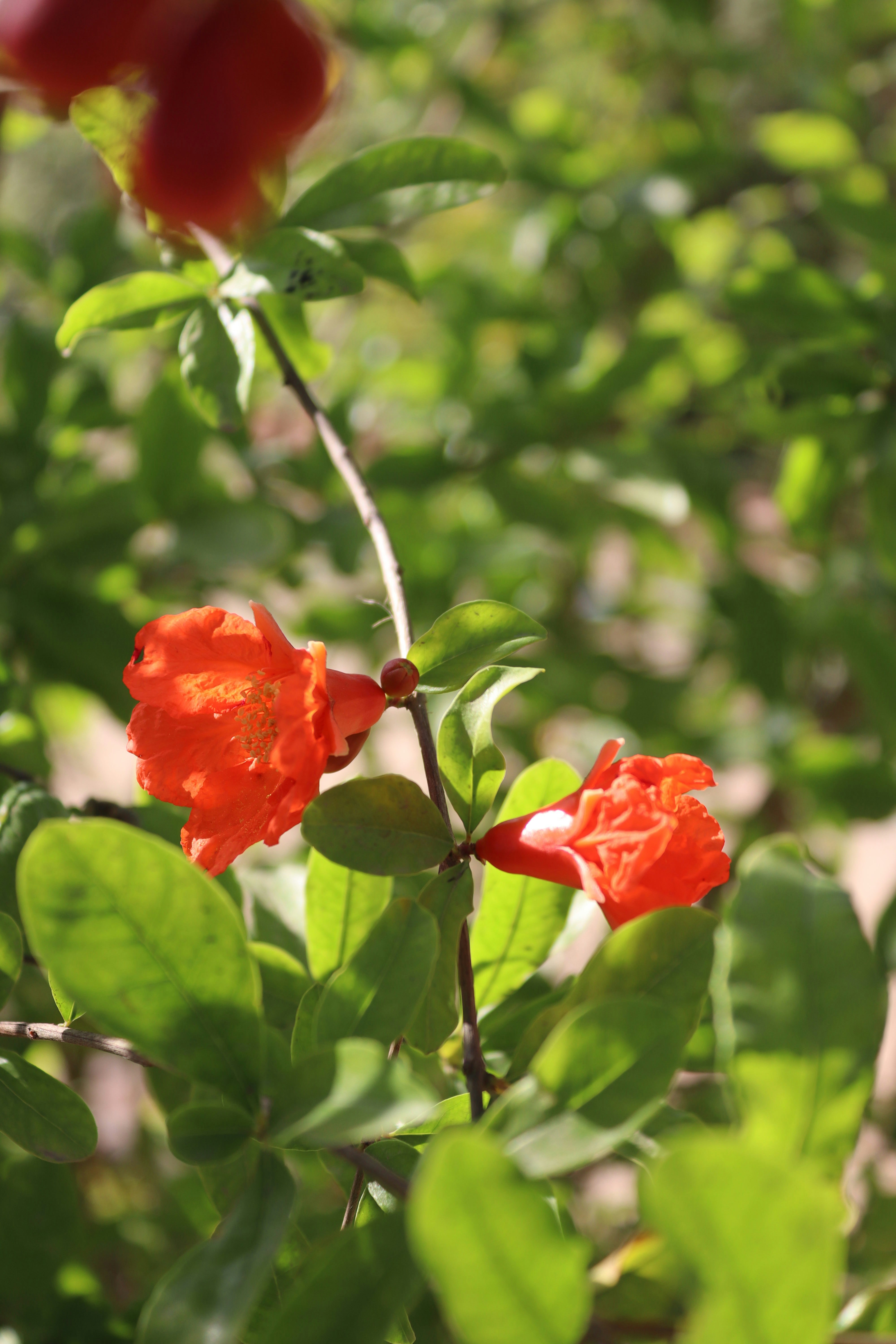 Photo by drphotographer152