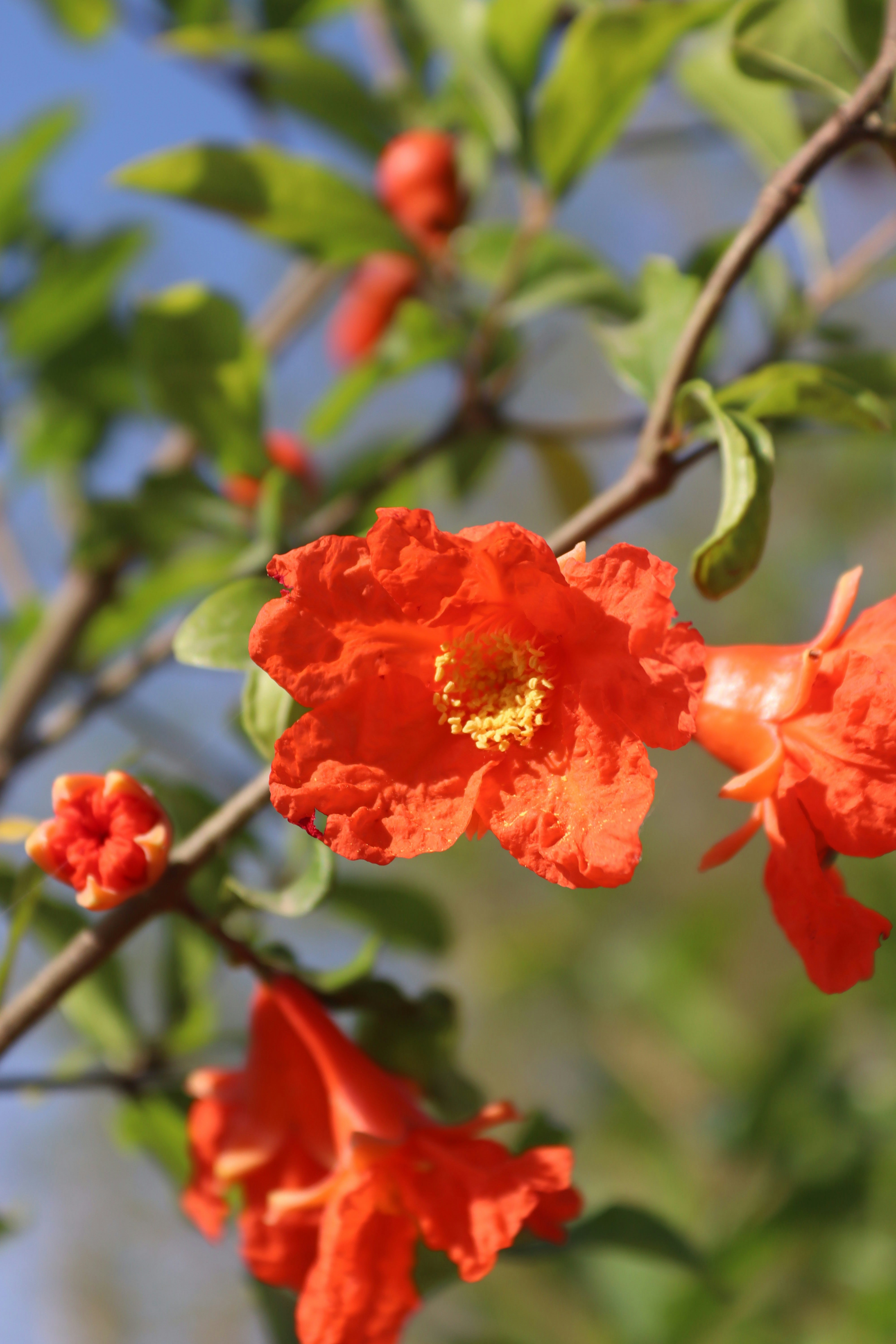 Photo by drphotographer152