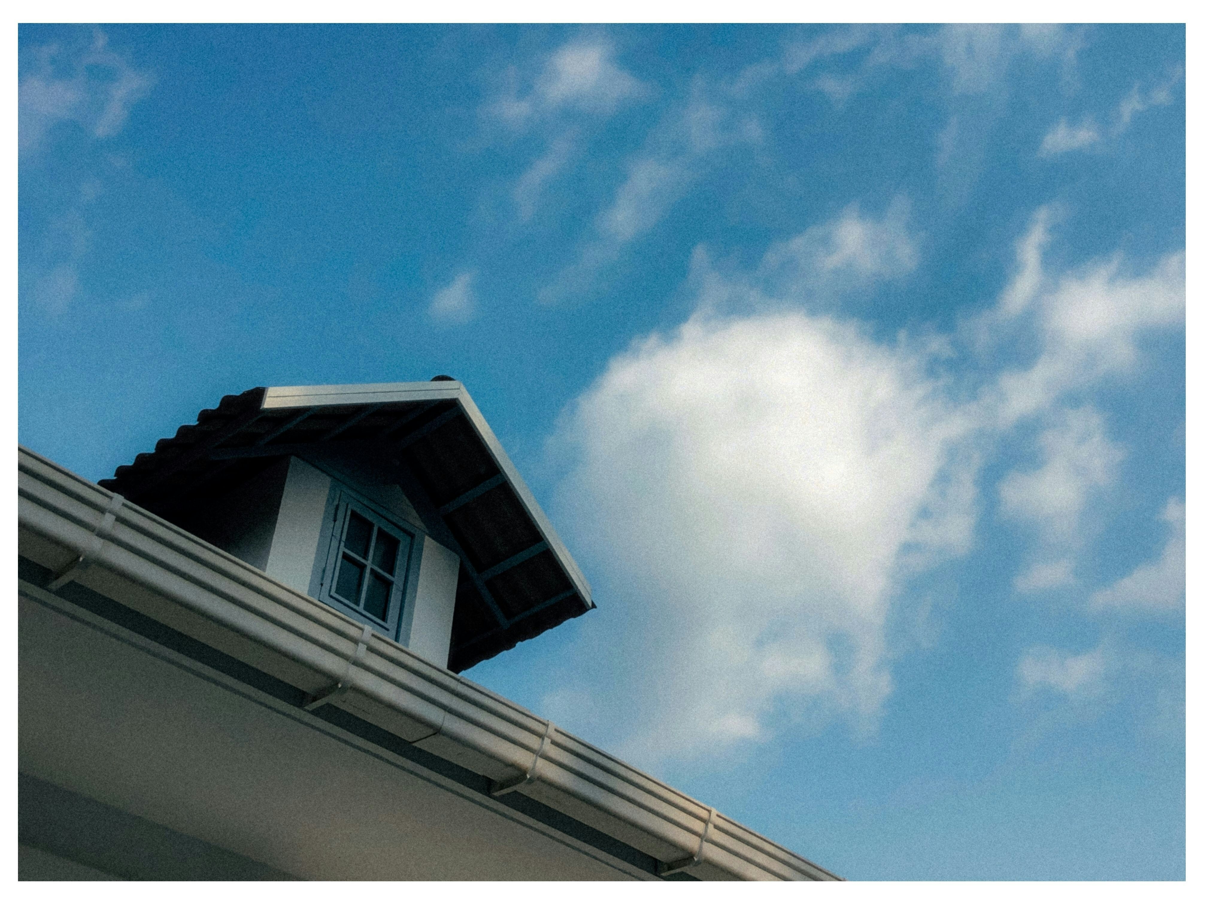 Photo by davissherine