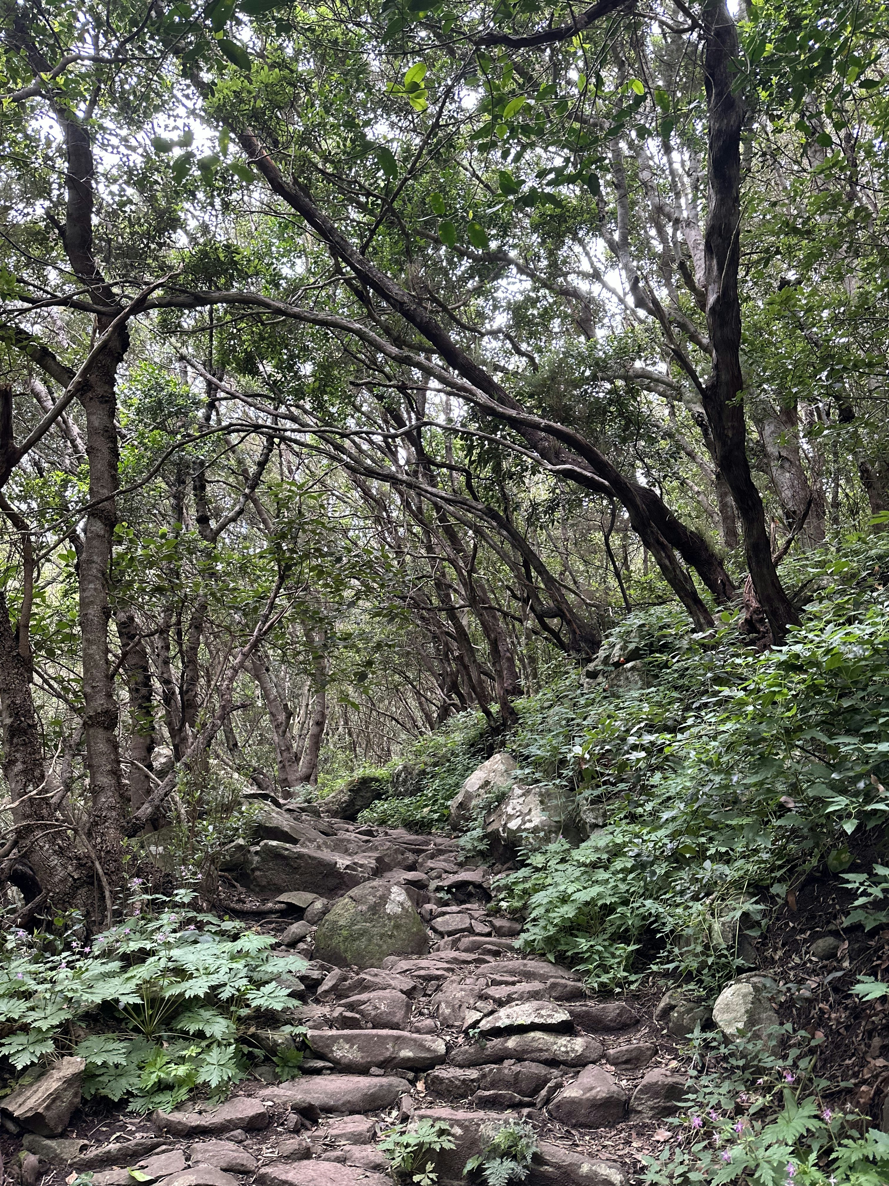 Photo by sergei_gussev