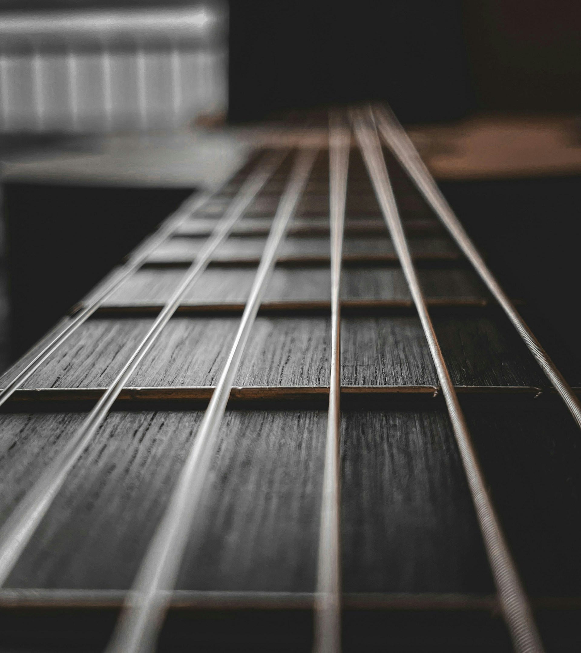 a black and white photo of a guitar neck