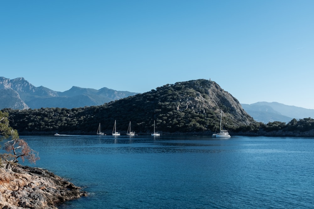 a body of water surrounded by mountains and trees