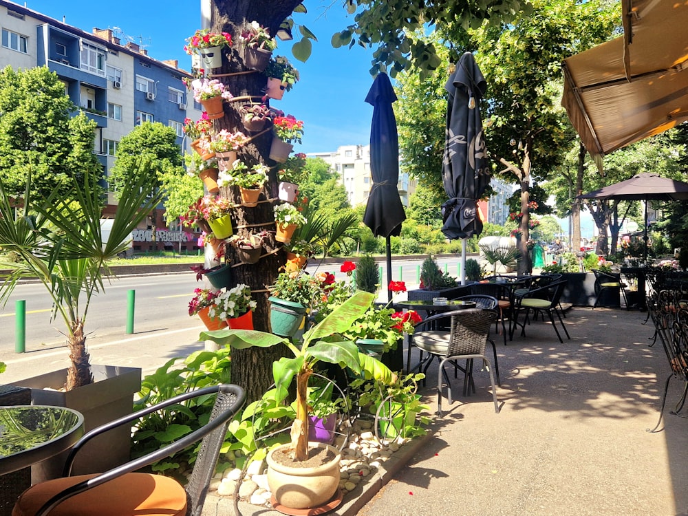 un café en plein air avec des tables et des parasols par une journée ensoleillée