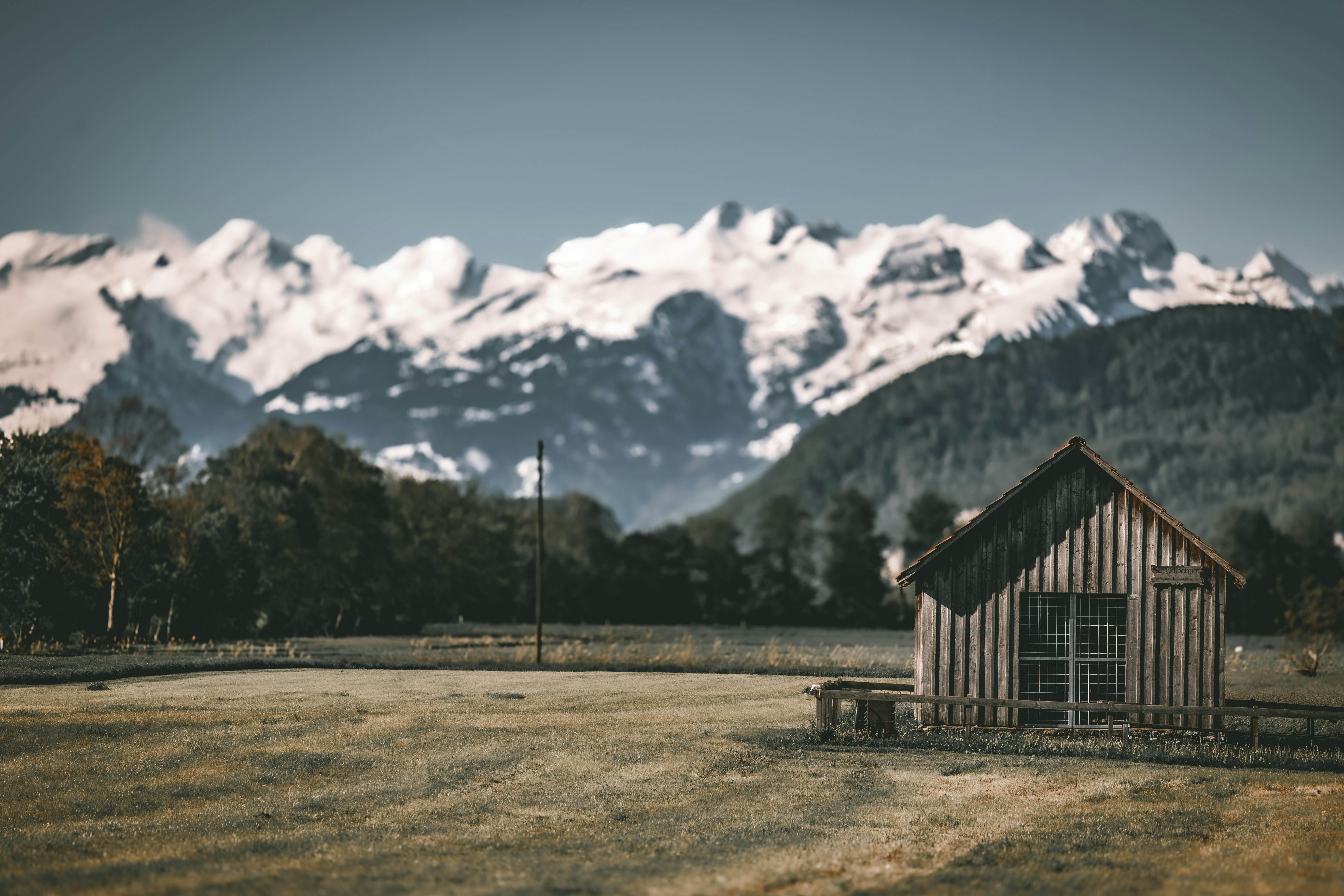 Photo by elisamoldovan