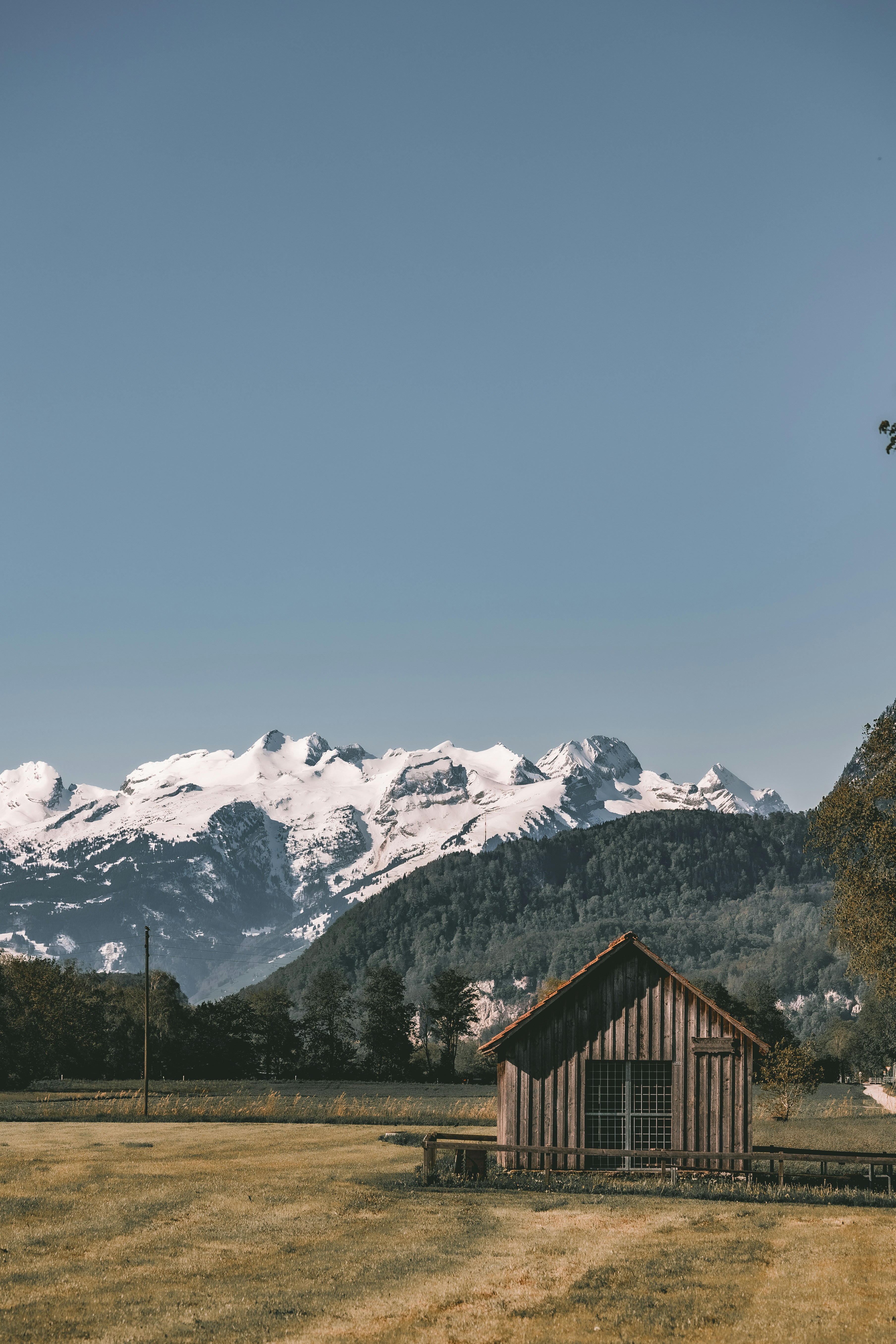 Photo by elisamoldovan