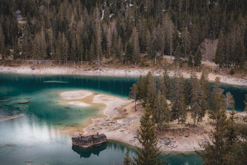 a large body of water surrounded by trees