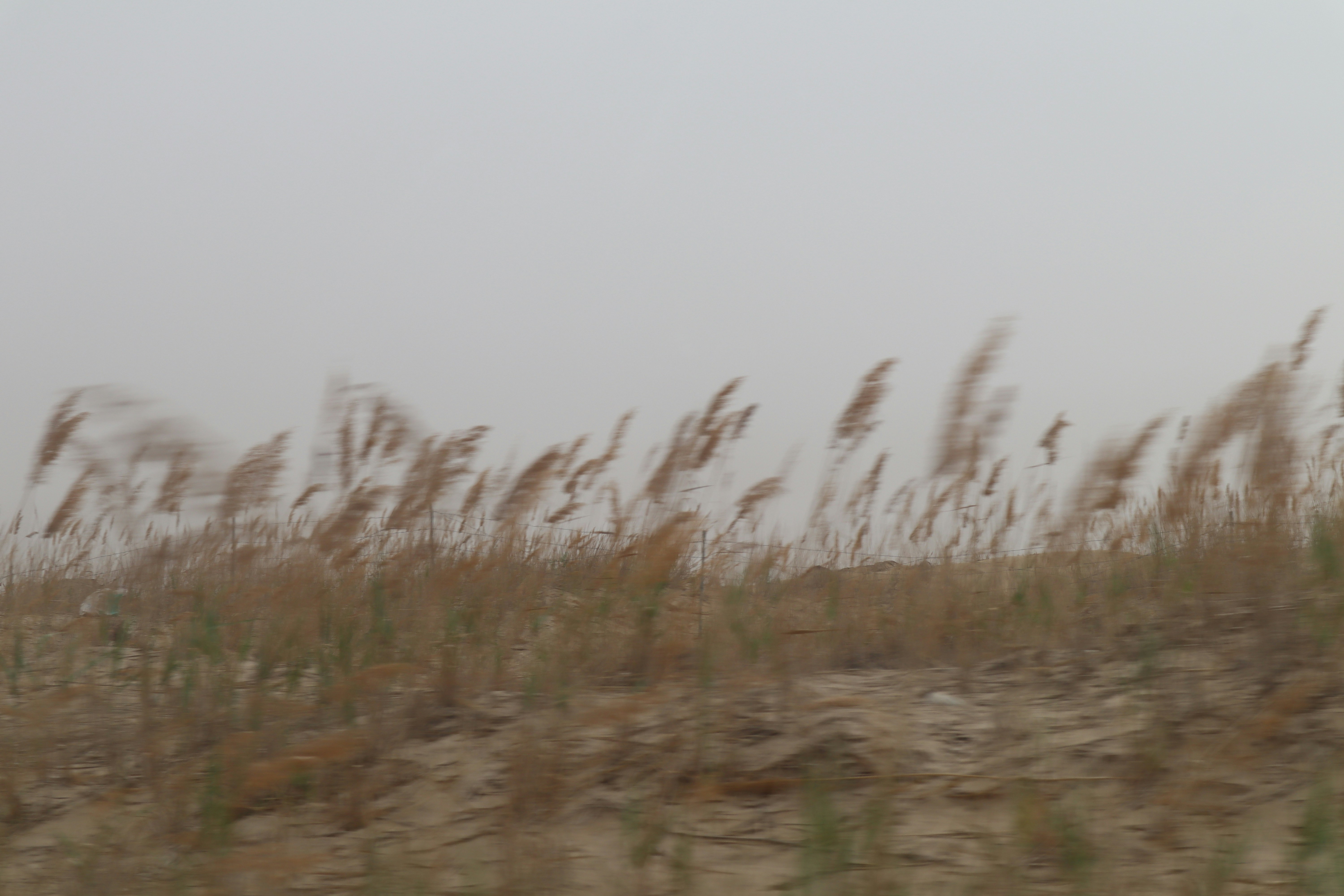 dusty, windy Kansas landscape - heating making noise in haysville ks