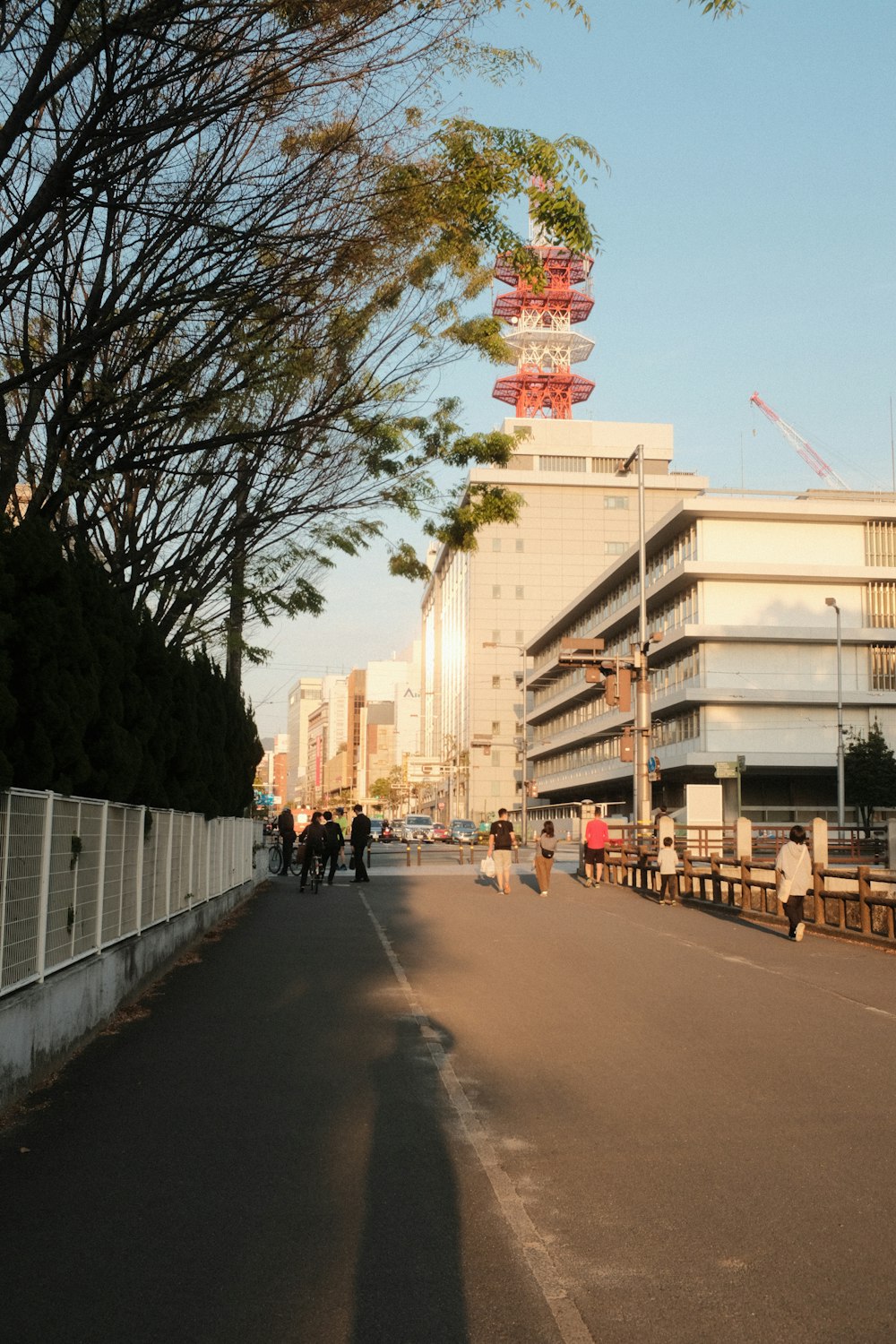 a city street lined with tall buildings and trees