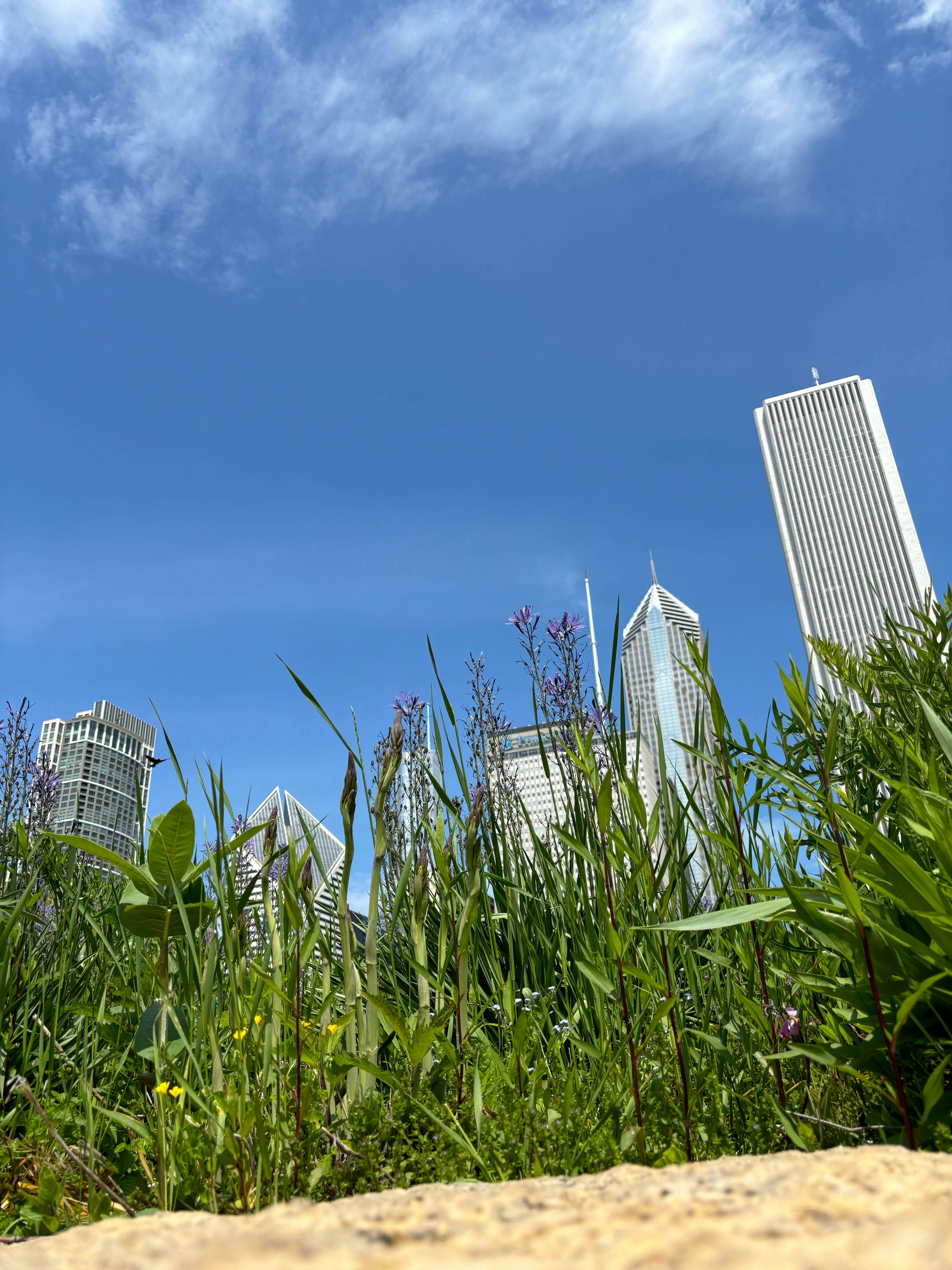 Containers in Lodge Grass, MT