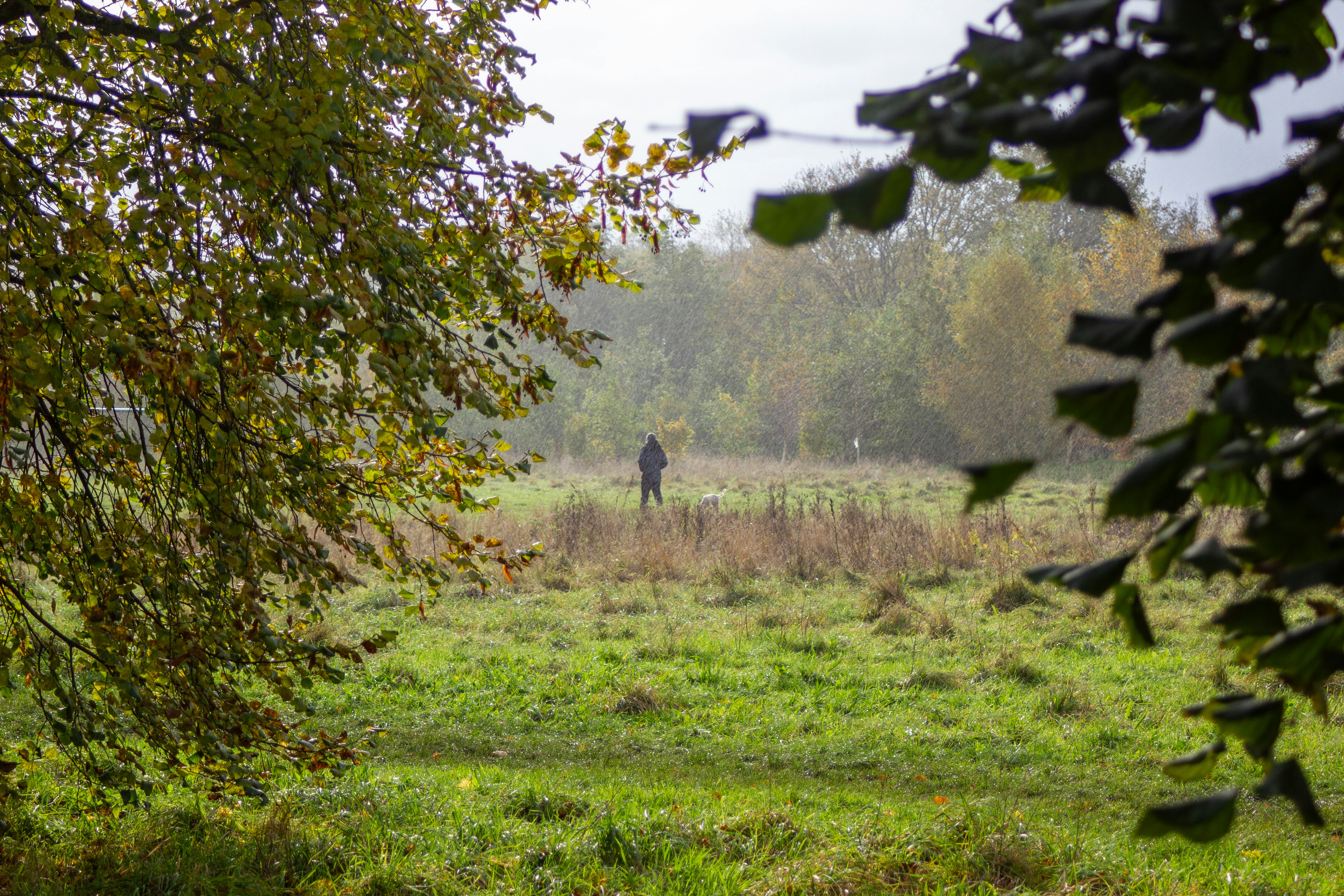 Photo by scottsalchemy