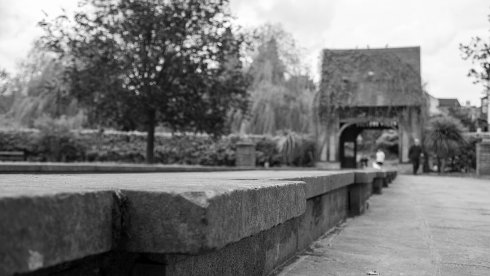 a black and white photo of a park