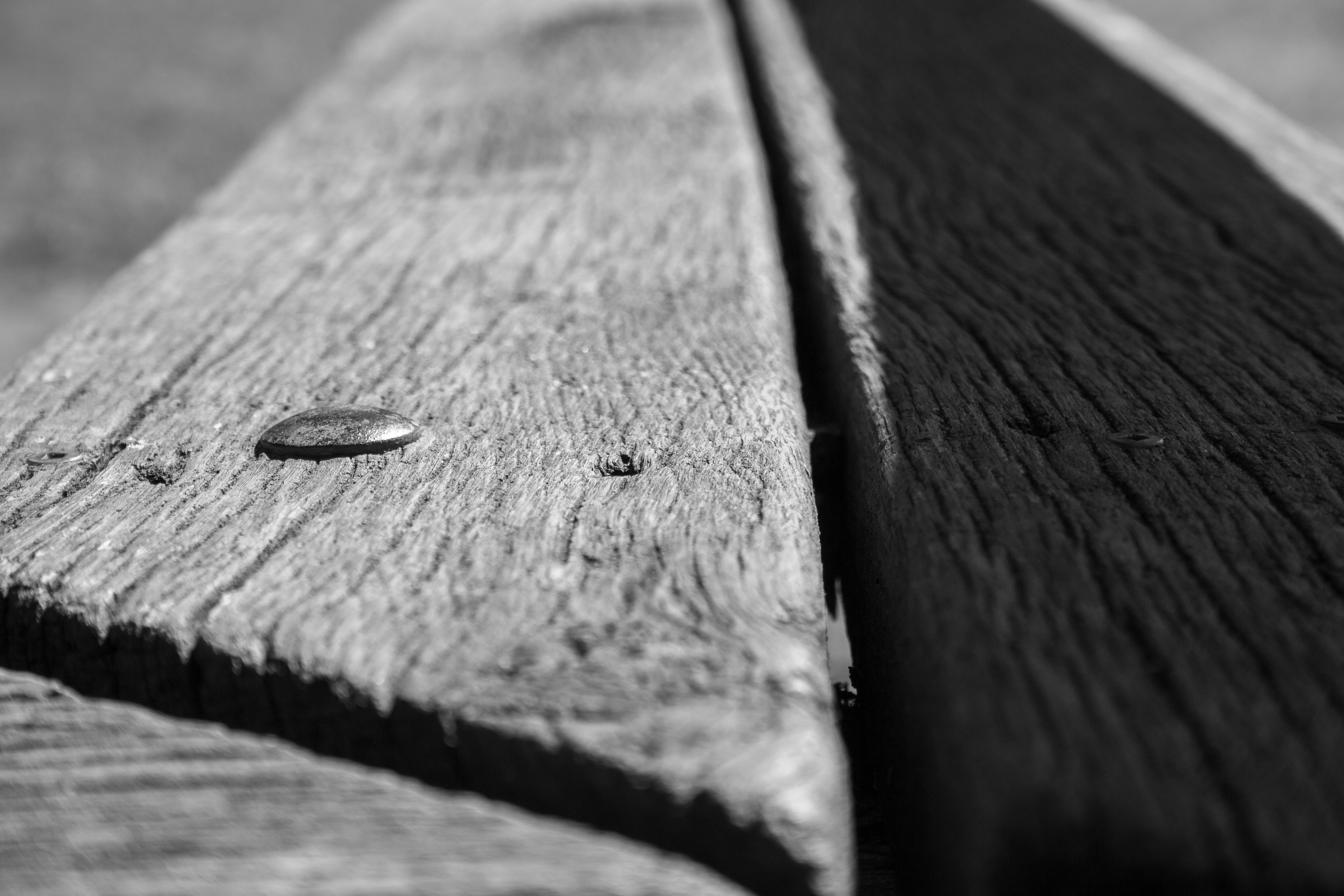 Photo by scottsalchemy