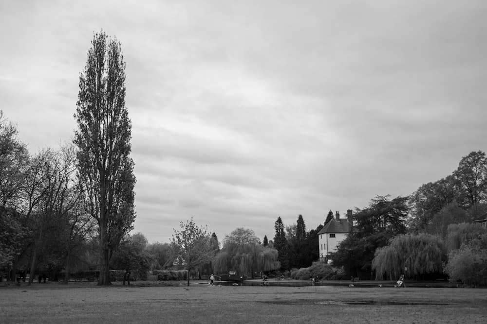 a black and white photo of a park