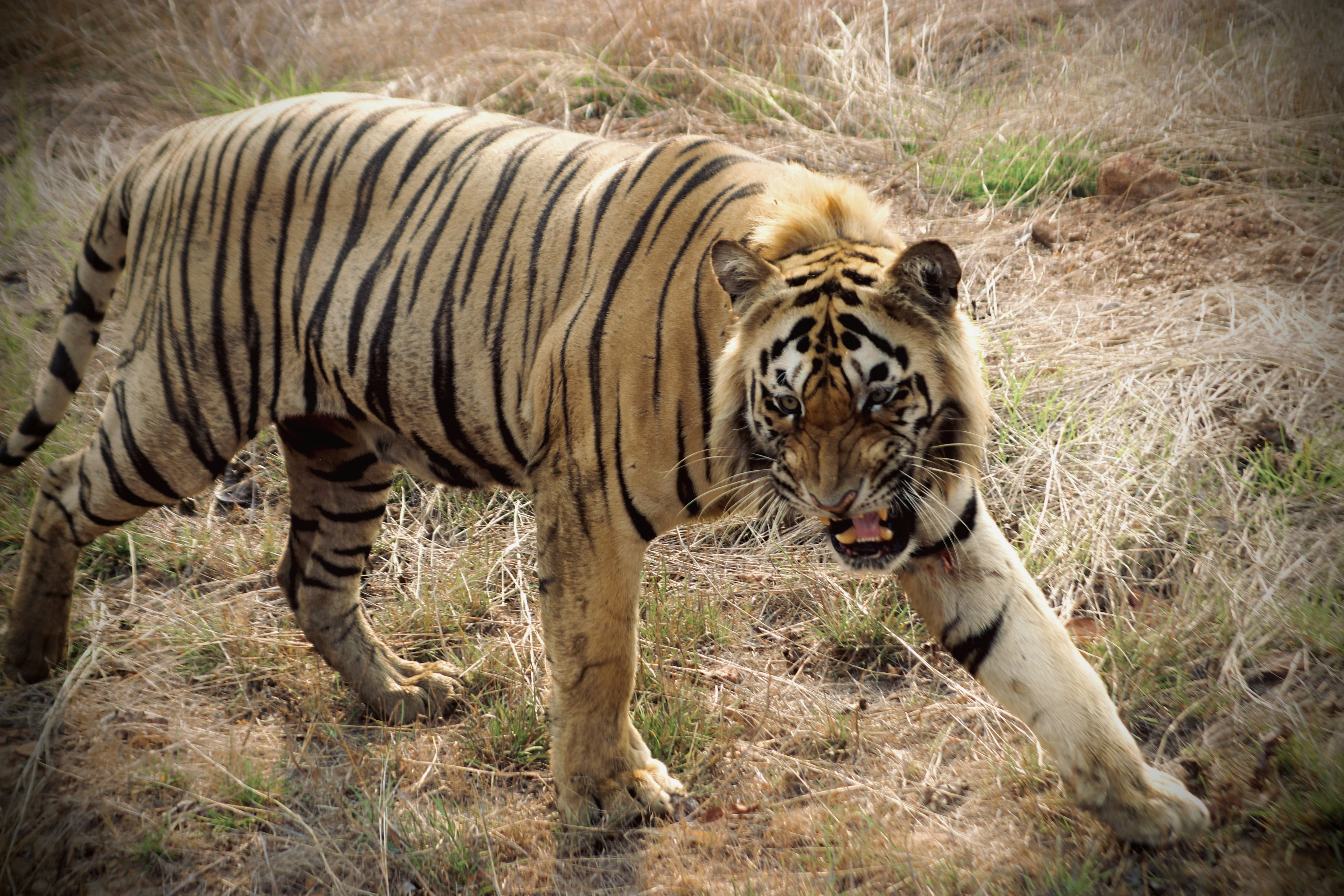 Photo by potraitnature