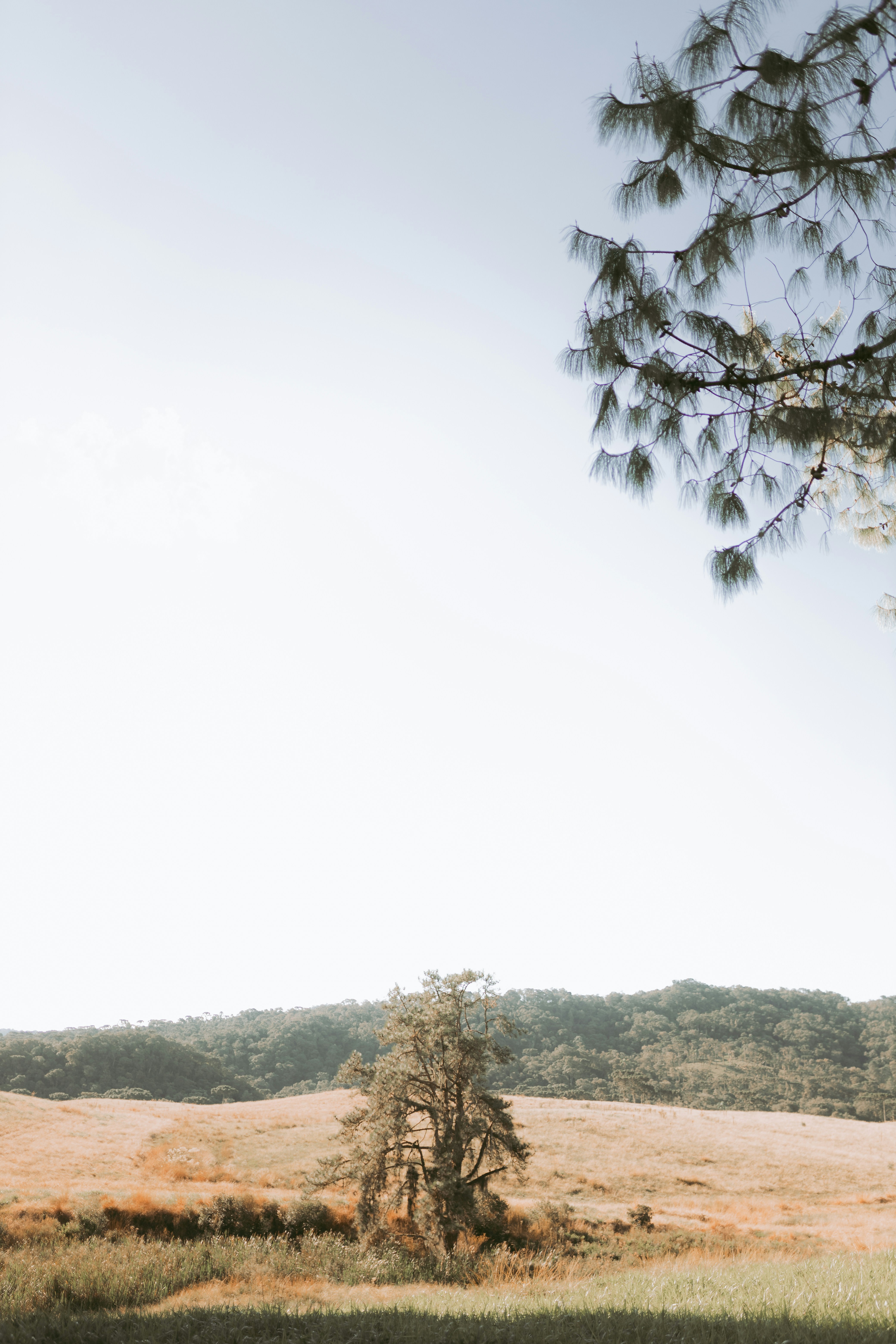 Photo by alexandermassph