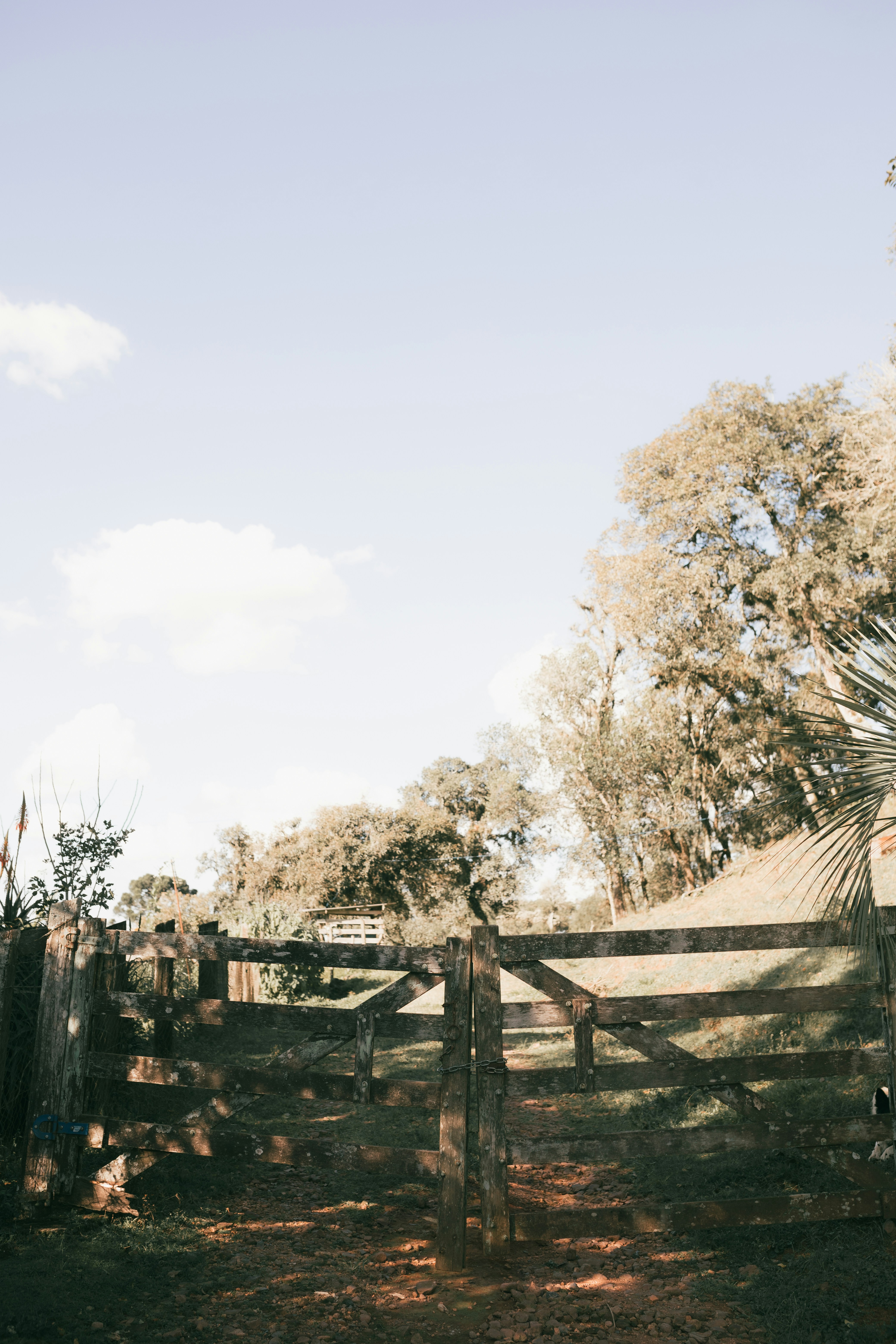 Photo by alexandermassph