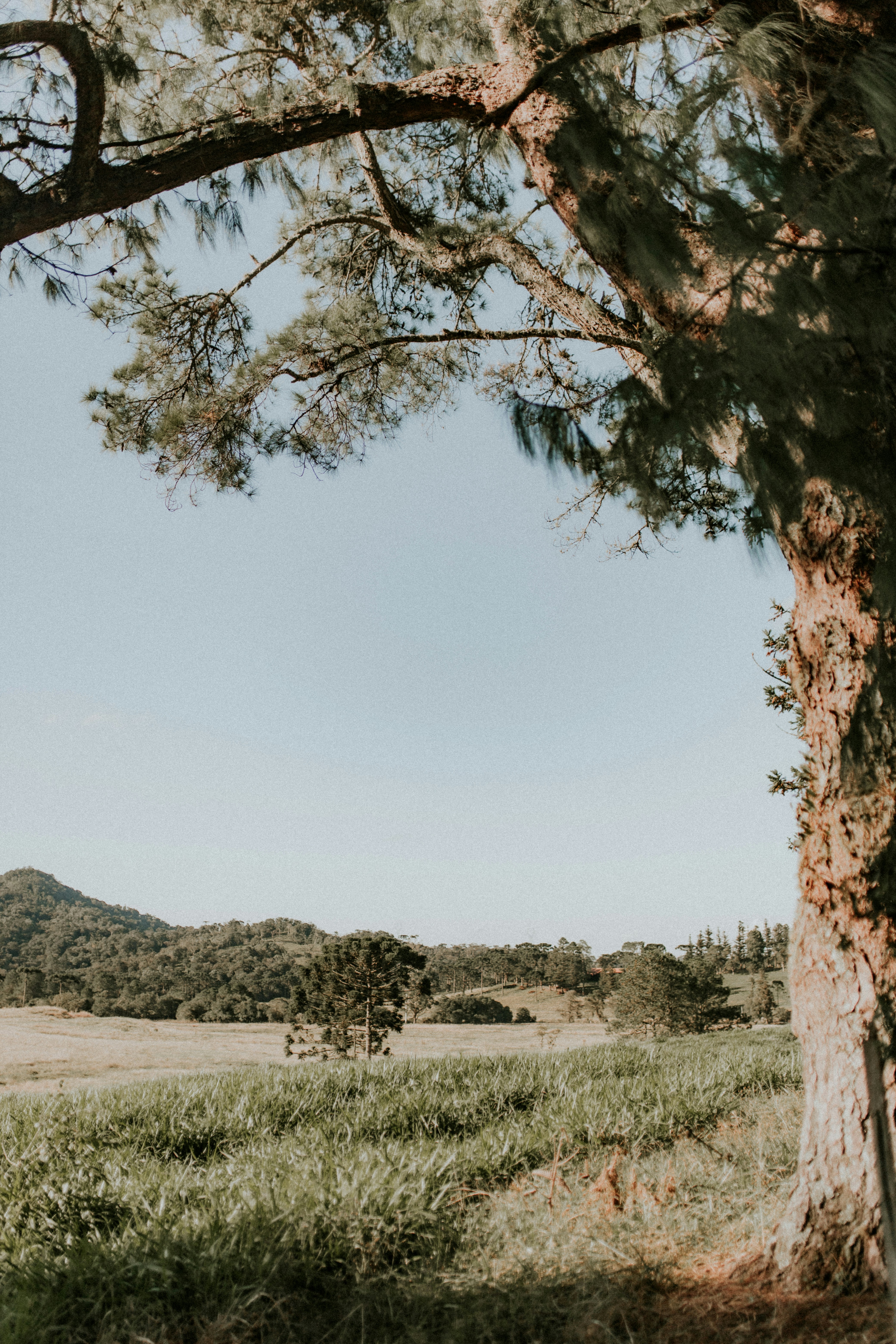 Photo by alexandermassph