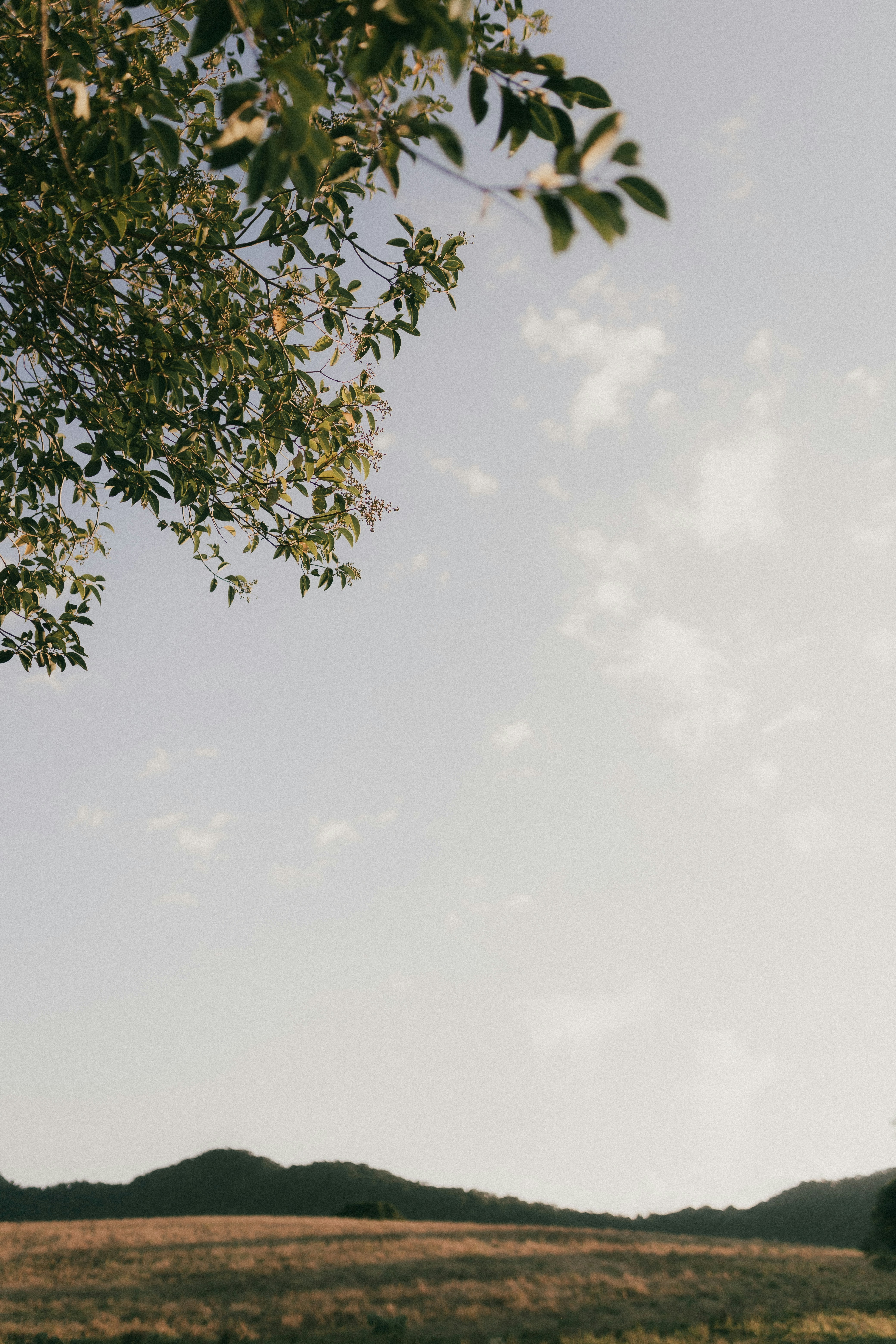 Photo by alexandermassph