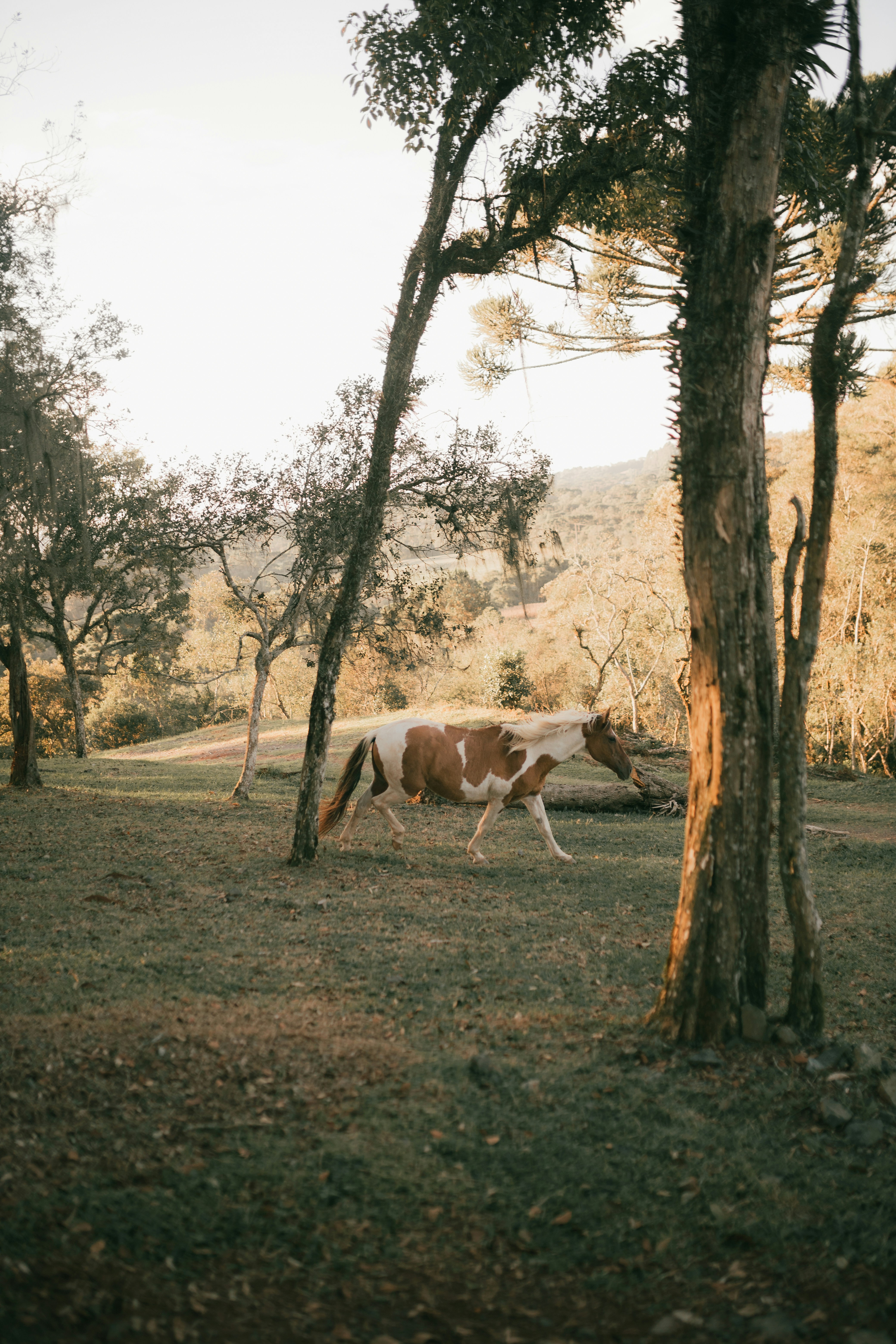 Photo by alexandermassph