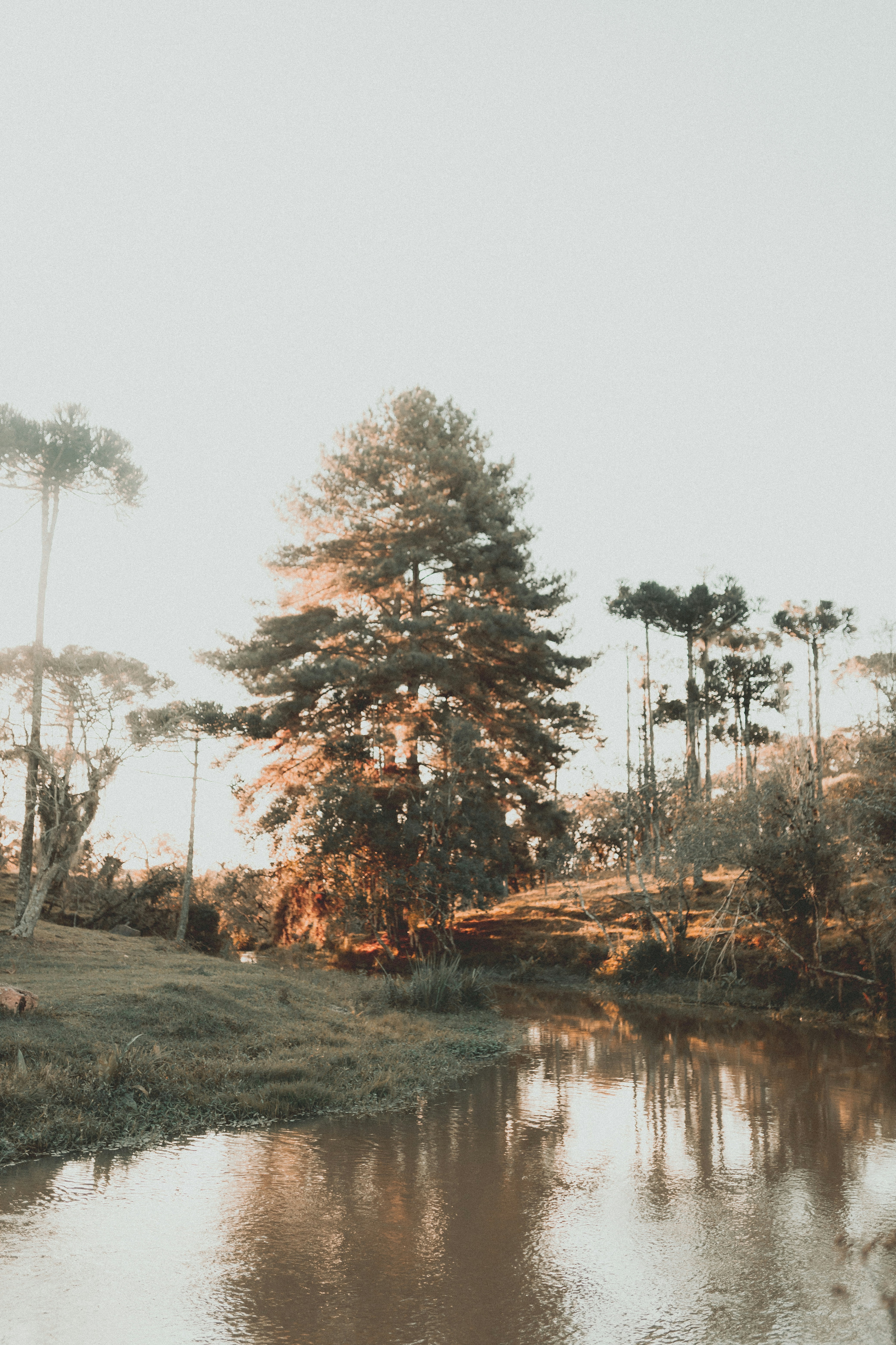 Photo by alexandermassph