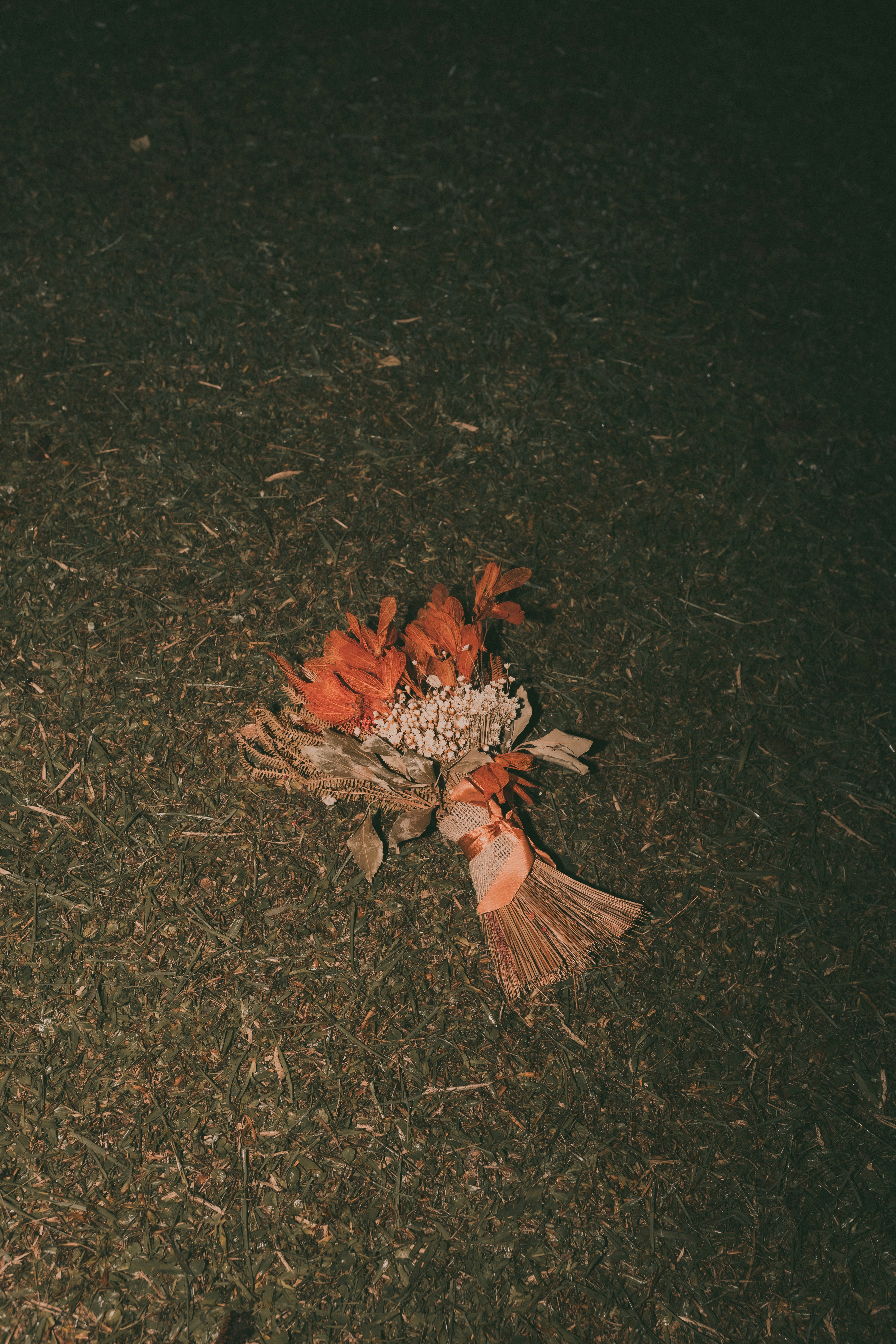 A bunch of dead flowers on the ground photo – Free Flower Image on Unsplash