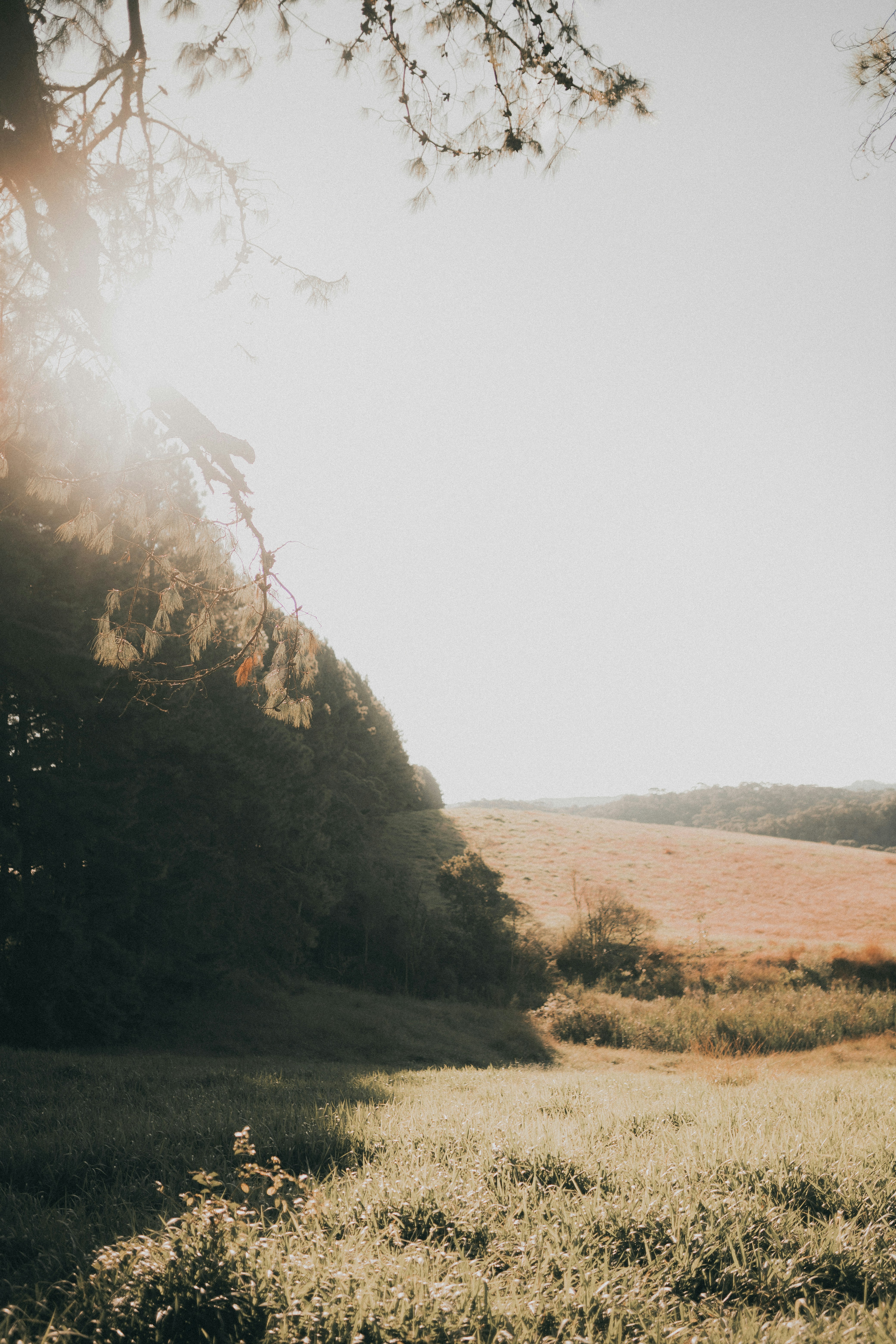 Photo by alexandermassph