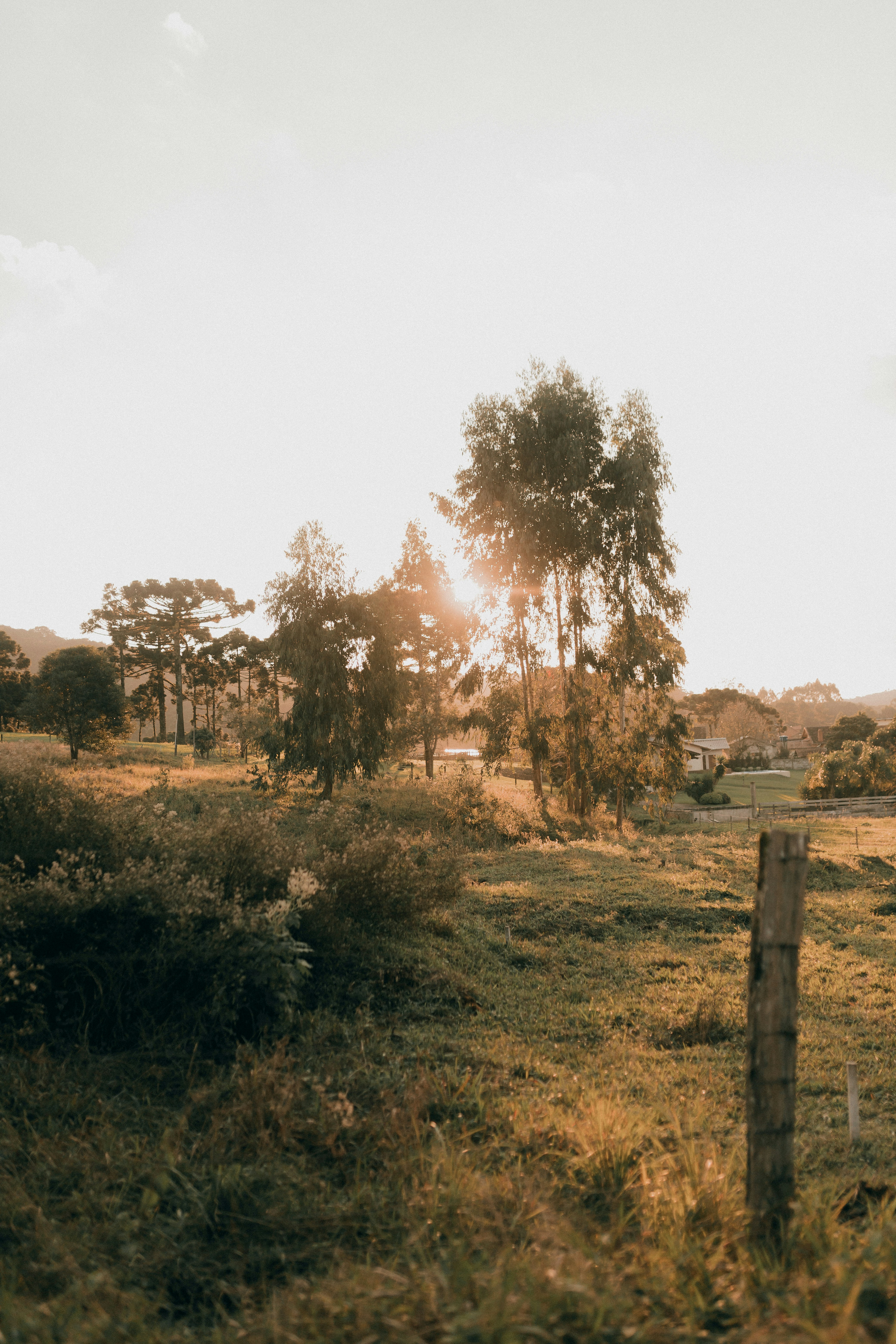 Photo by alexandermassph