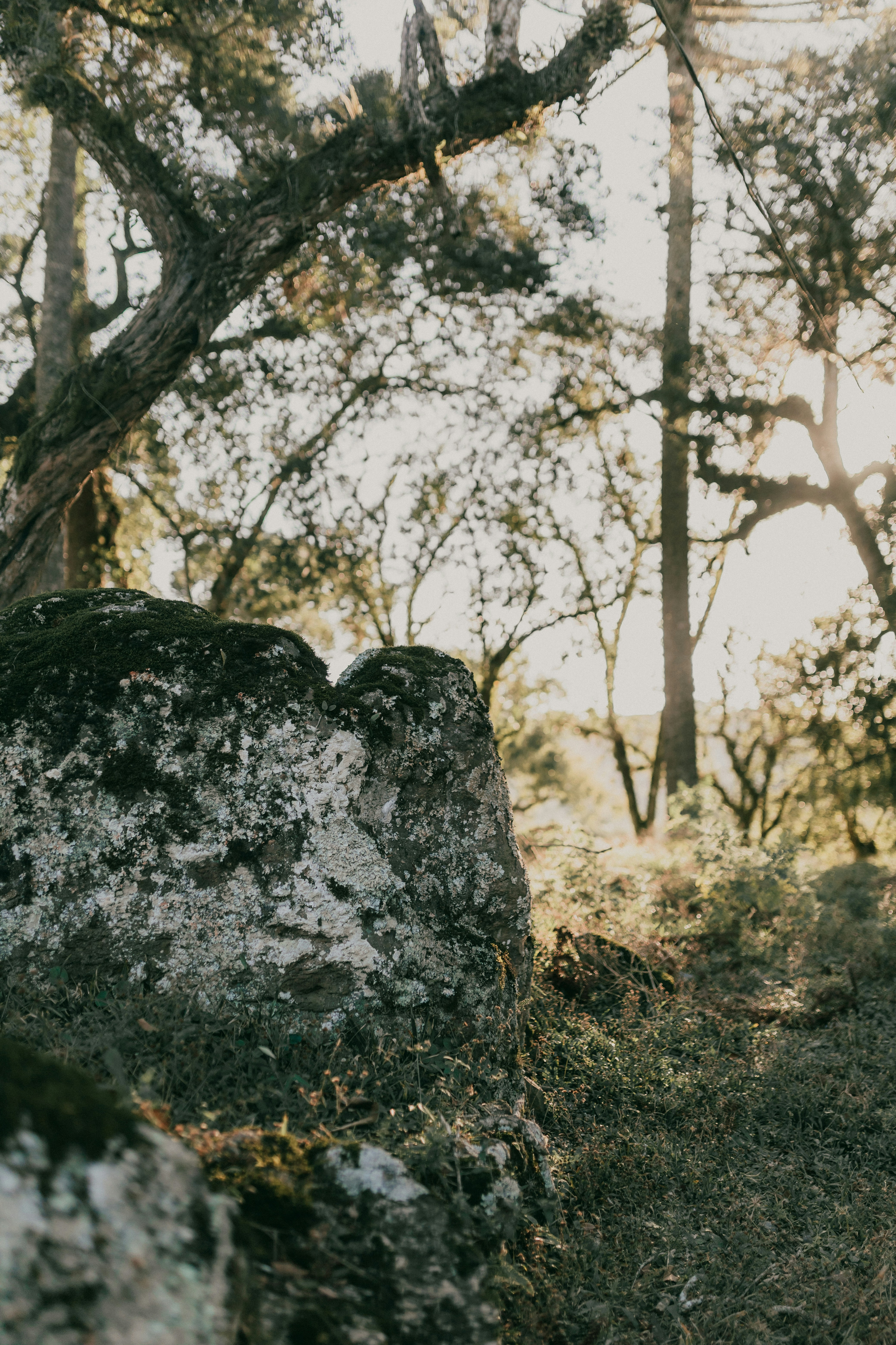 Photo by alexandermassph