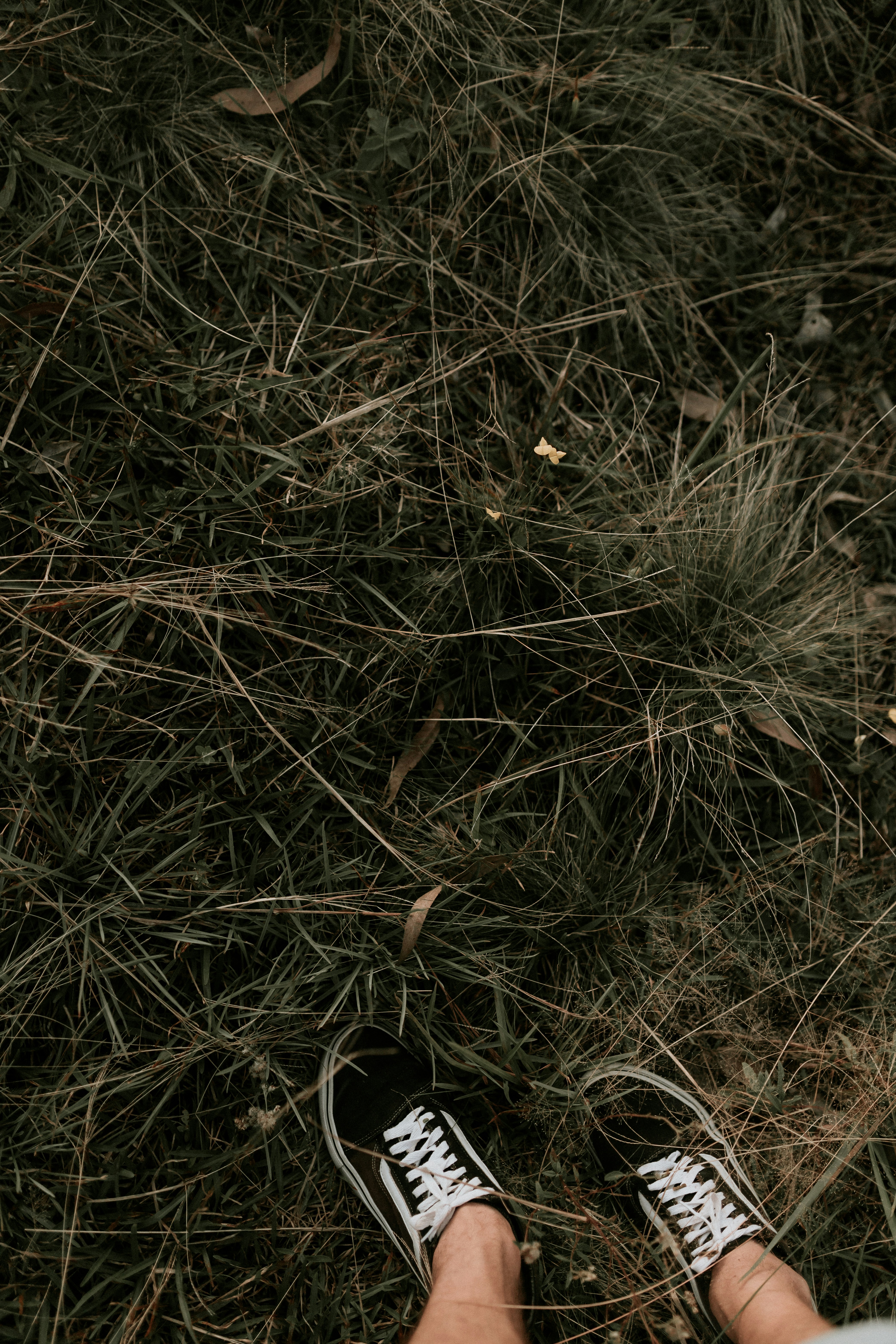 a person standing in the grass with their shoes on