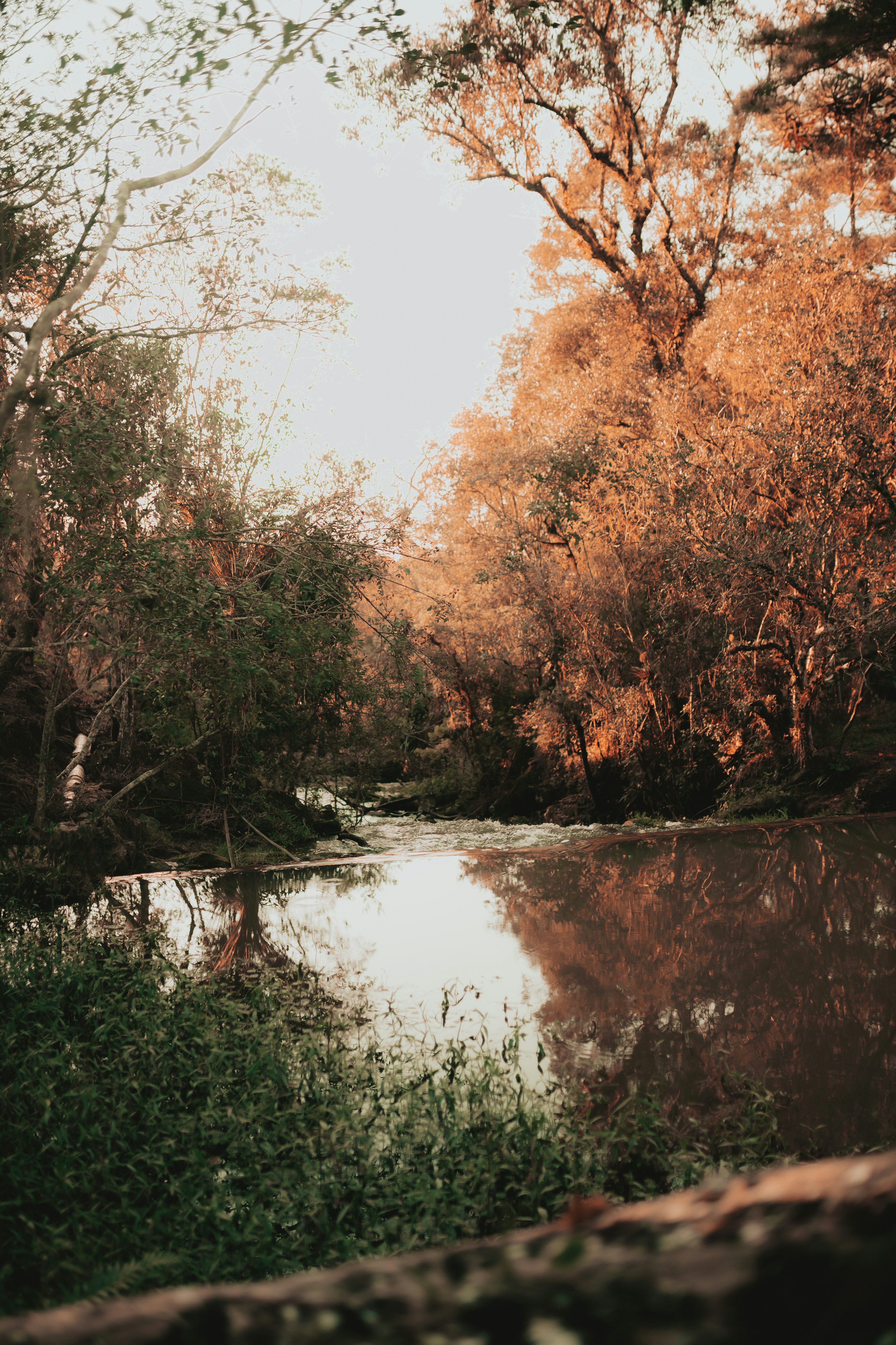 Photo by alexandermassph