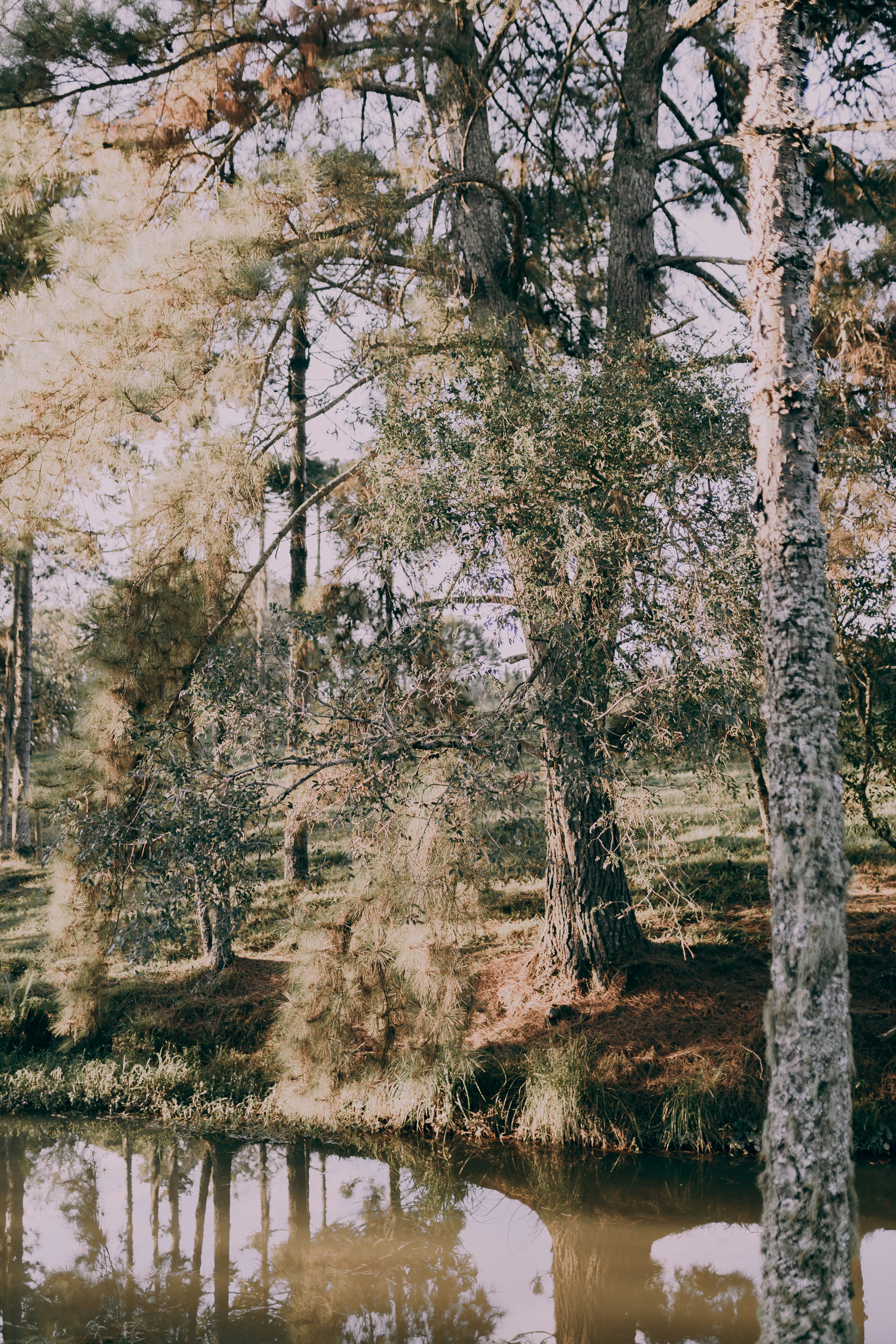 Photo by alexandermassph