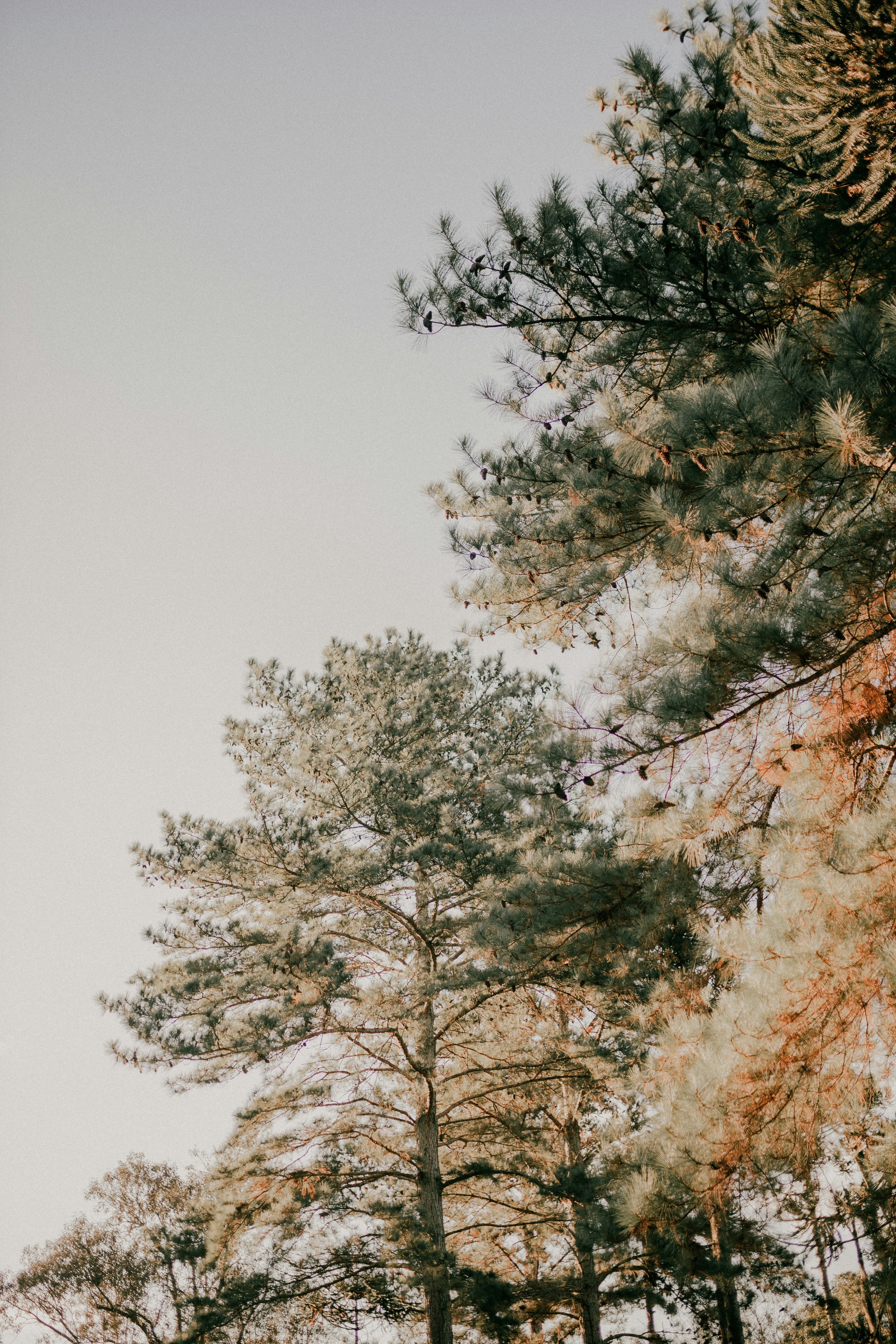 Photo by alexandermassph