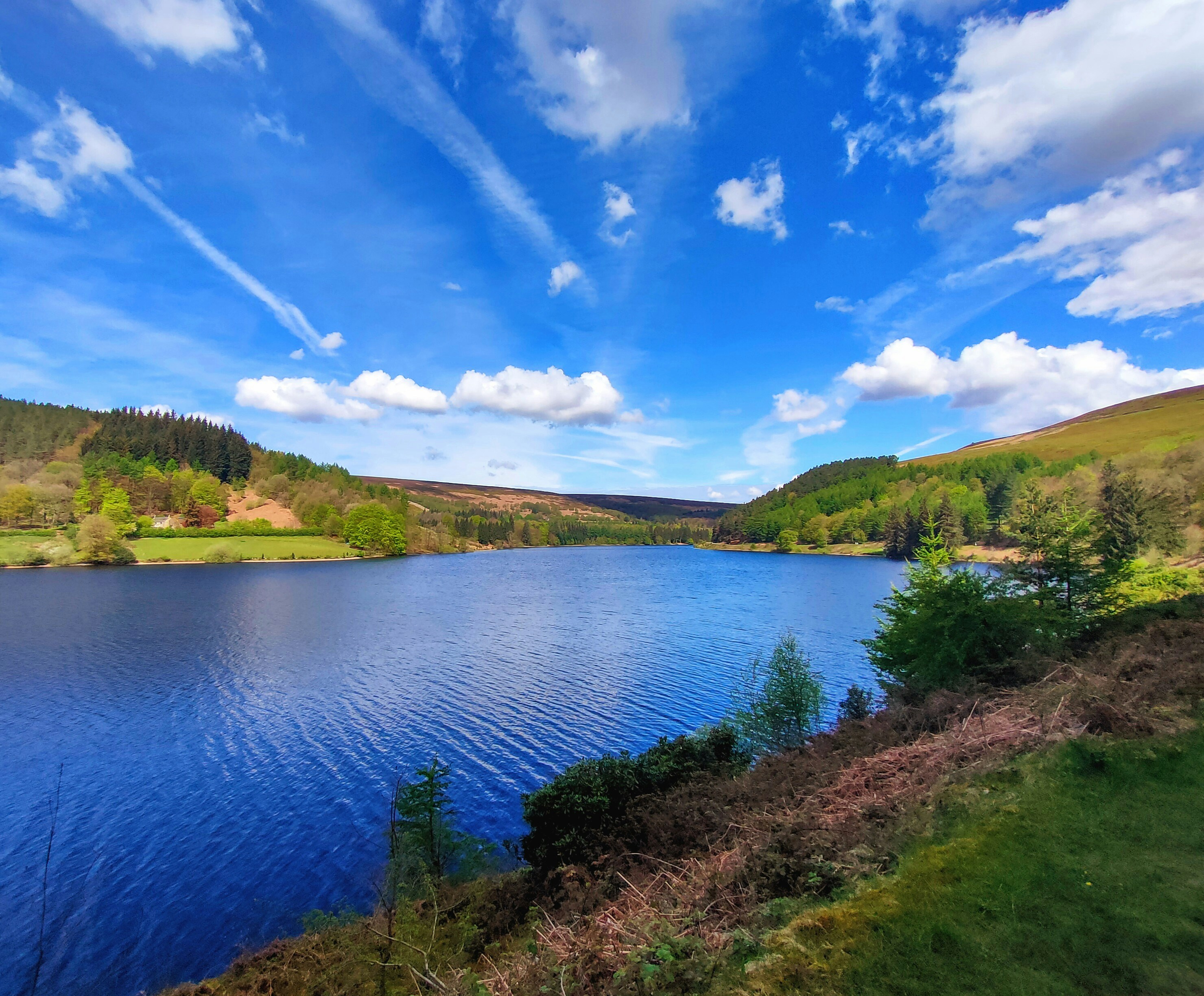 Photo by _asimrehman