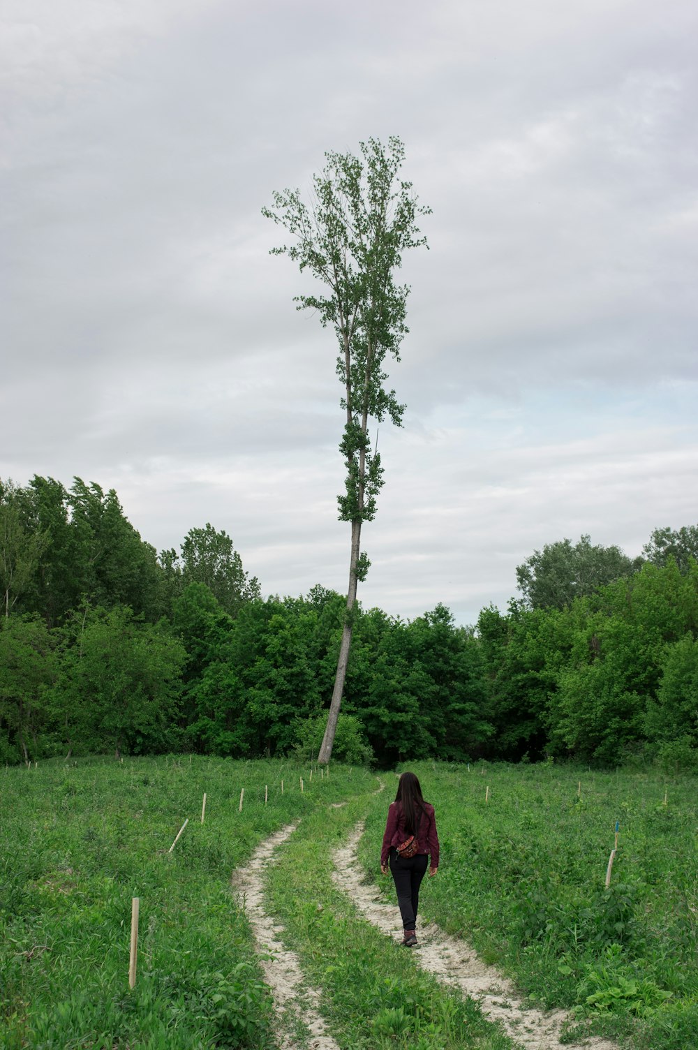a woman walking down a dirt road next to a tree