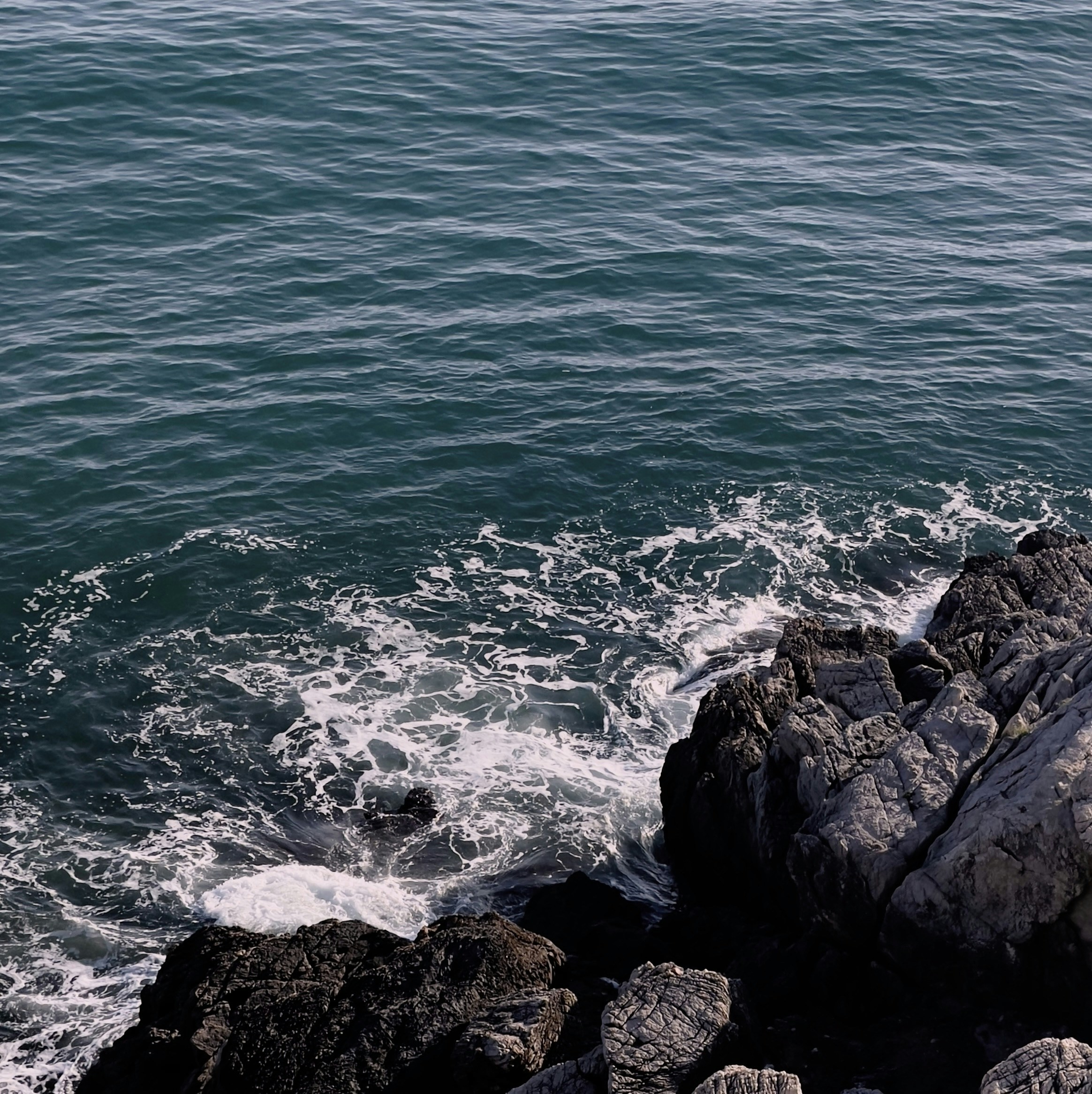 Photo by nicholasmastrogiacomo