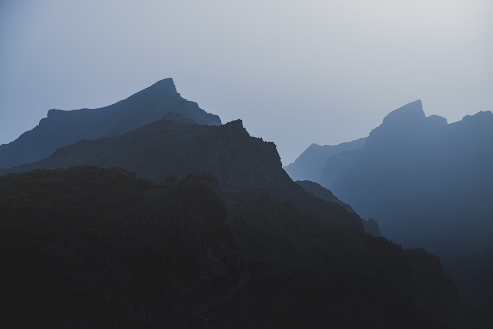 a view of a mountain with a bird flying over it