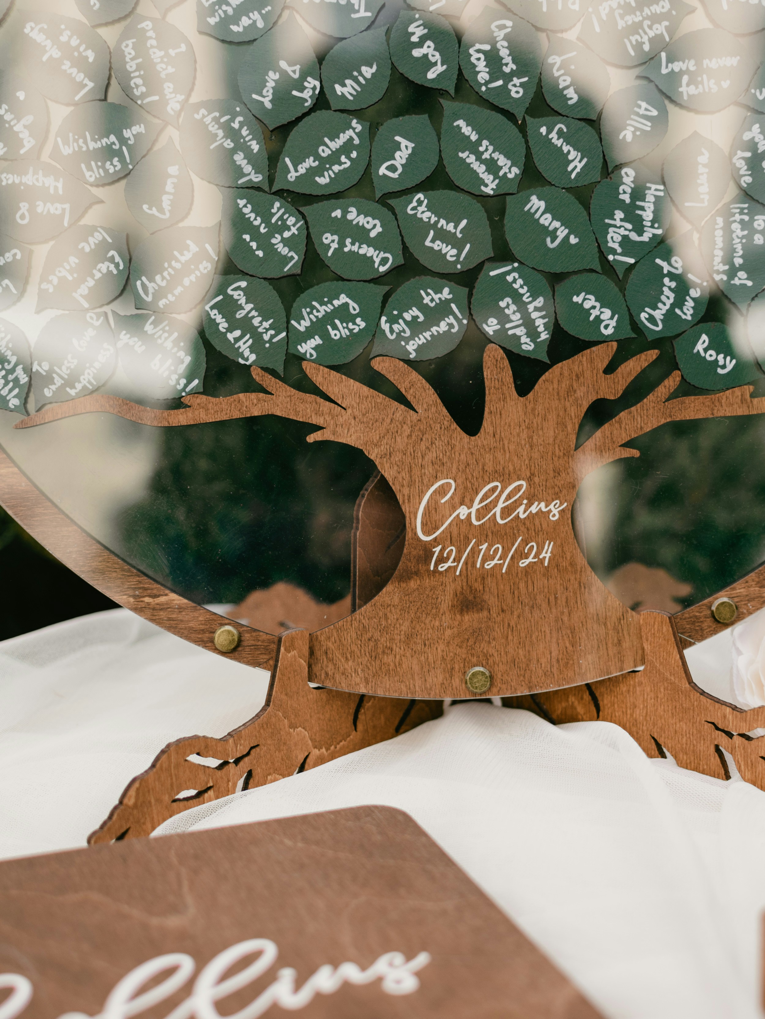 A close up of a tree on a table photo – Free Wedding Image on Unsplash