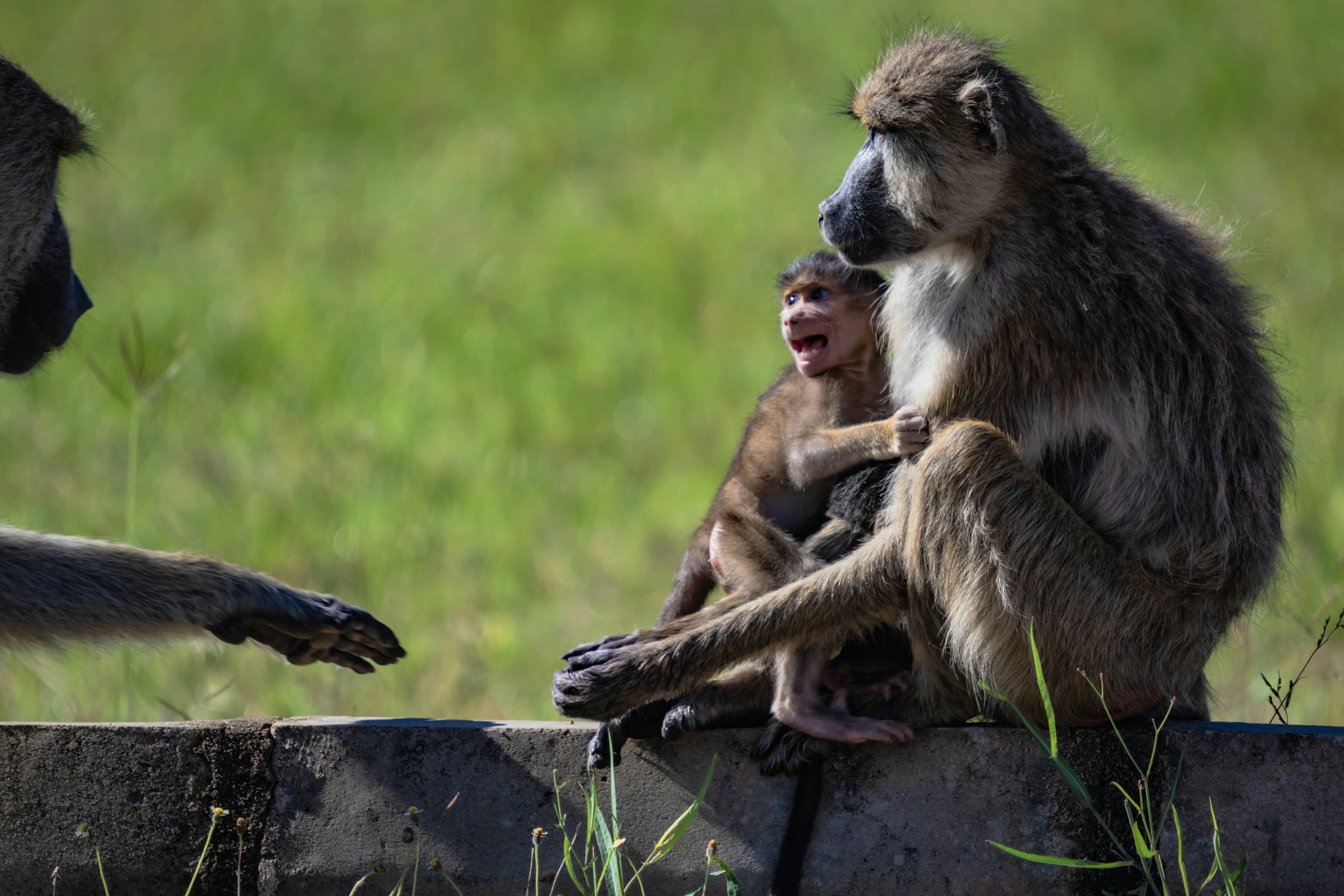 Photo by starkie_pics