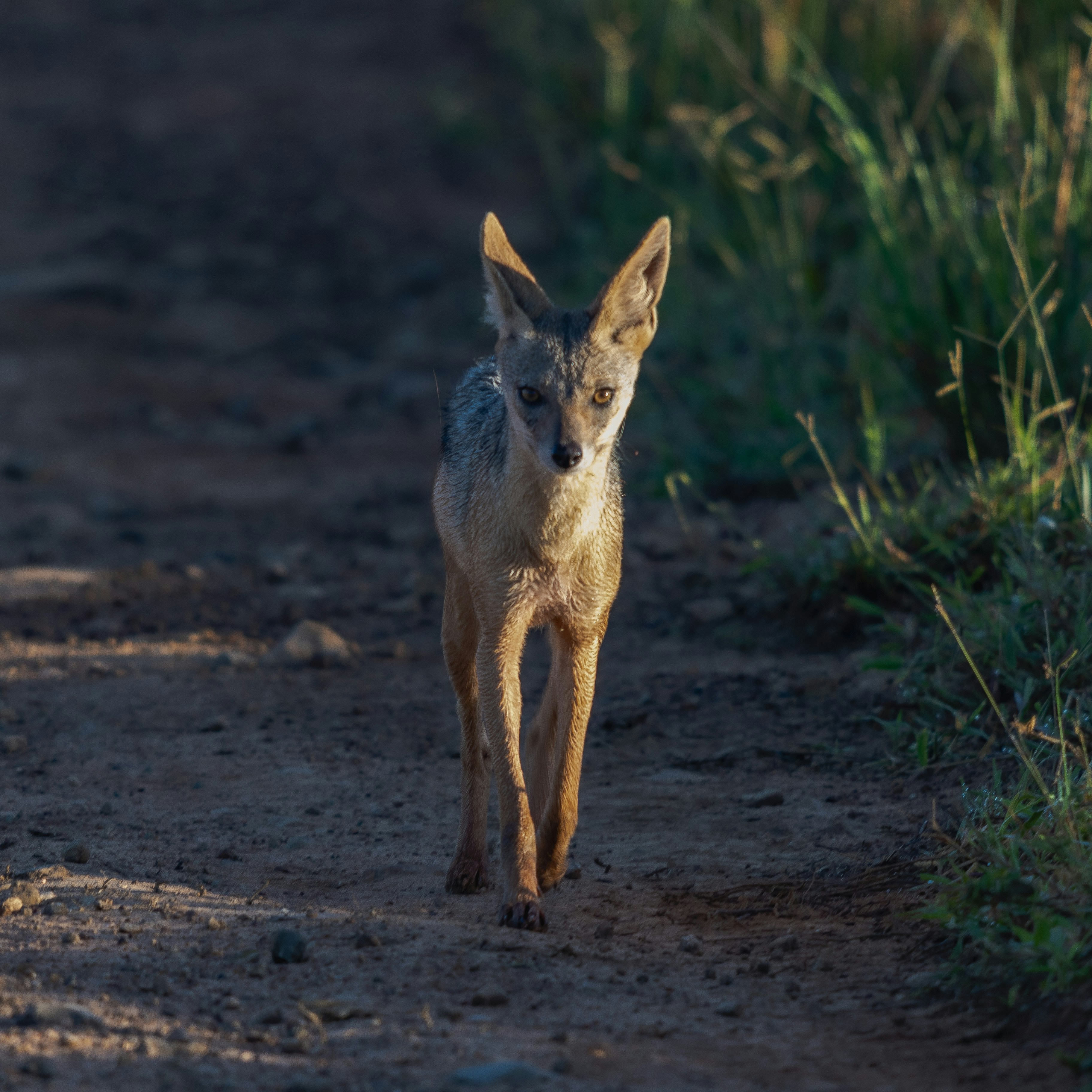 Photo by starkie_pics